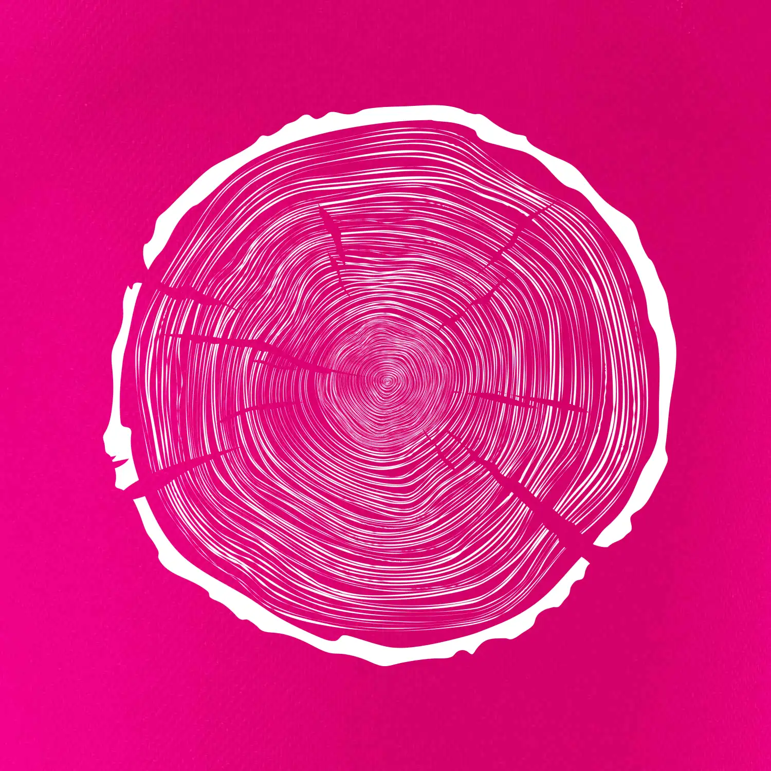 Letokruhy 100 bez věku