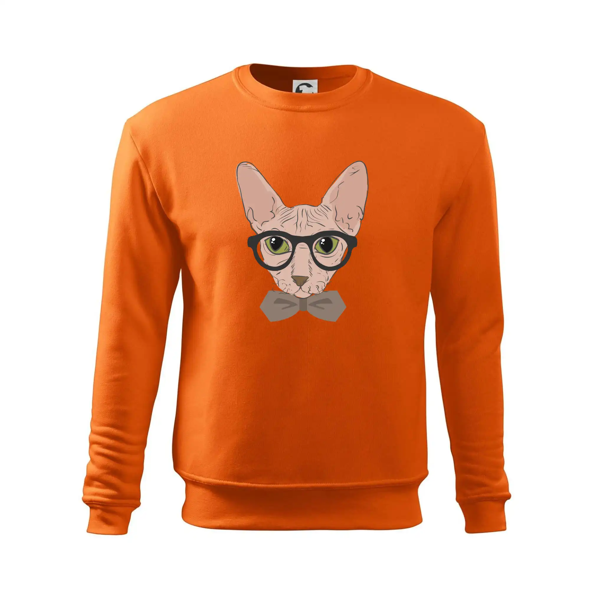 Hipster sphynx