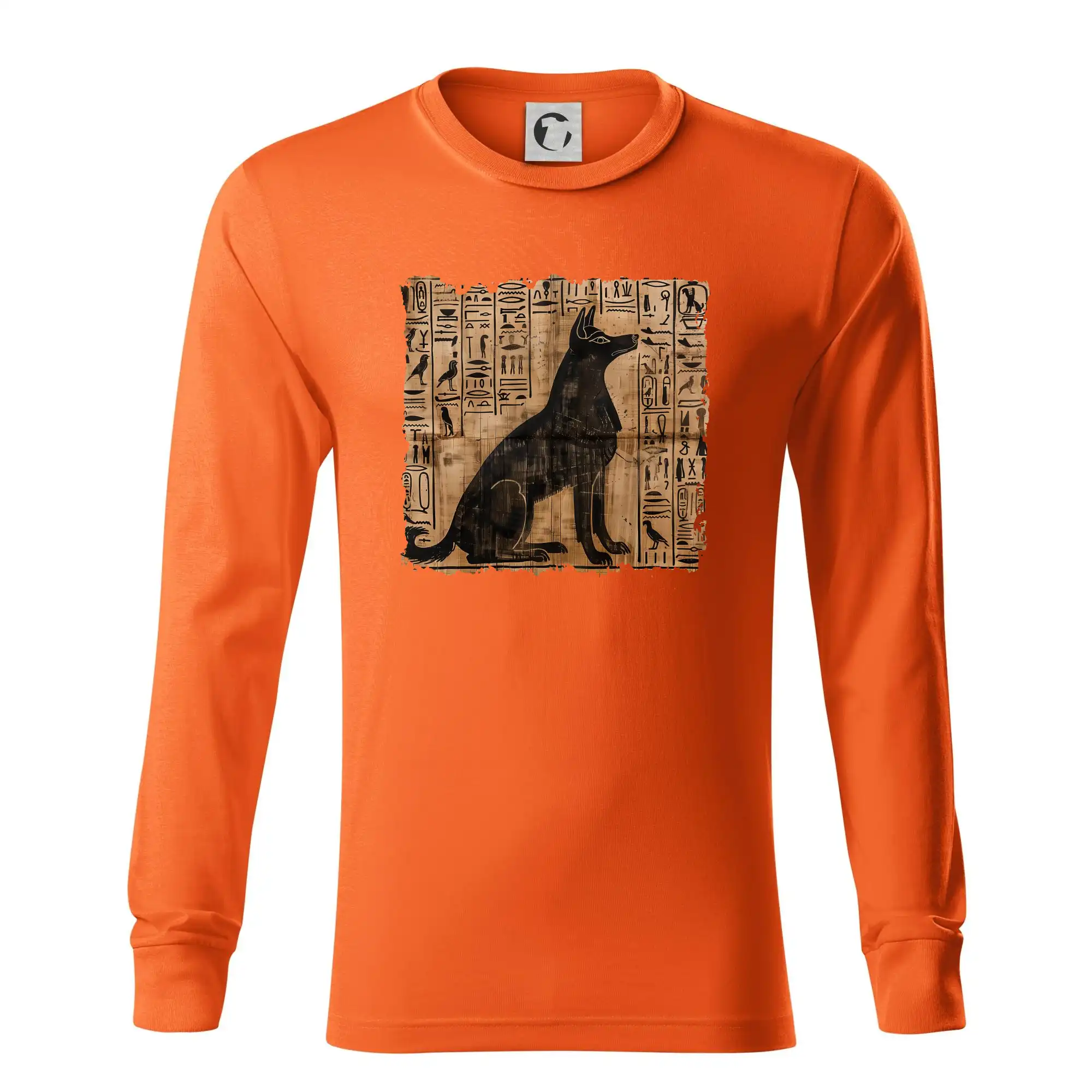Egyptské hieroglyfy pes