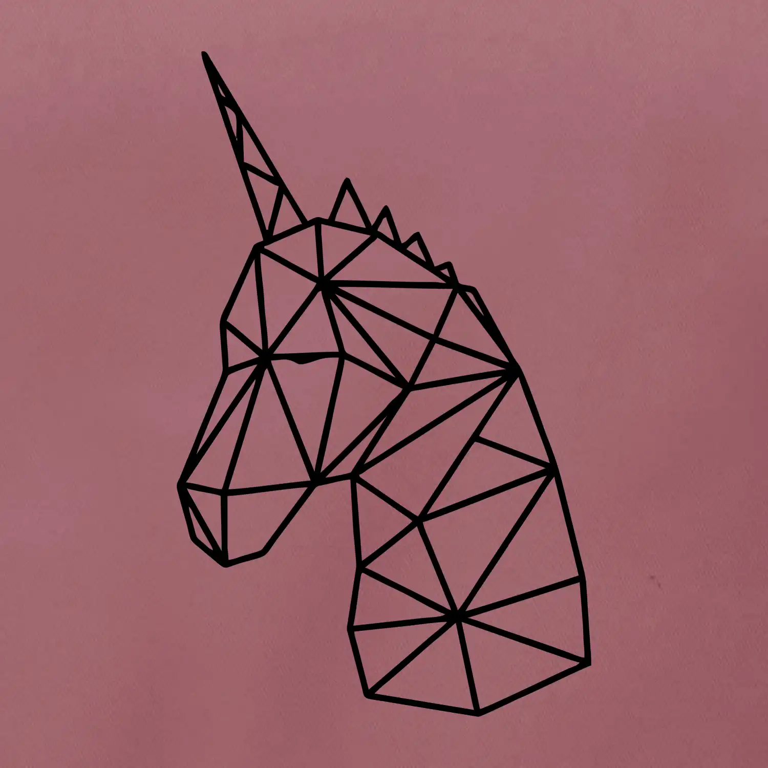 Geometrie - Jednorožec