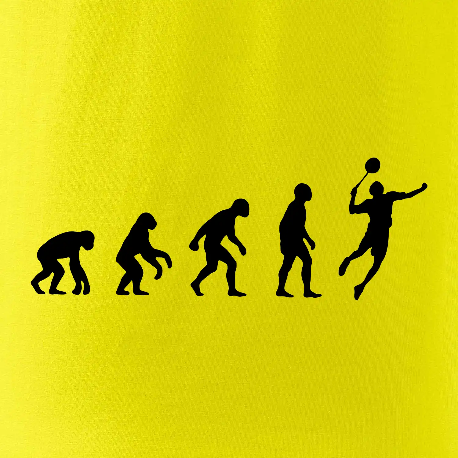 Evoluce Badminton