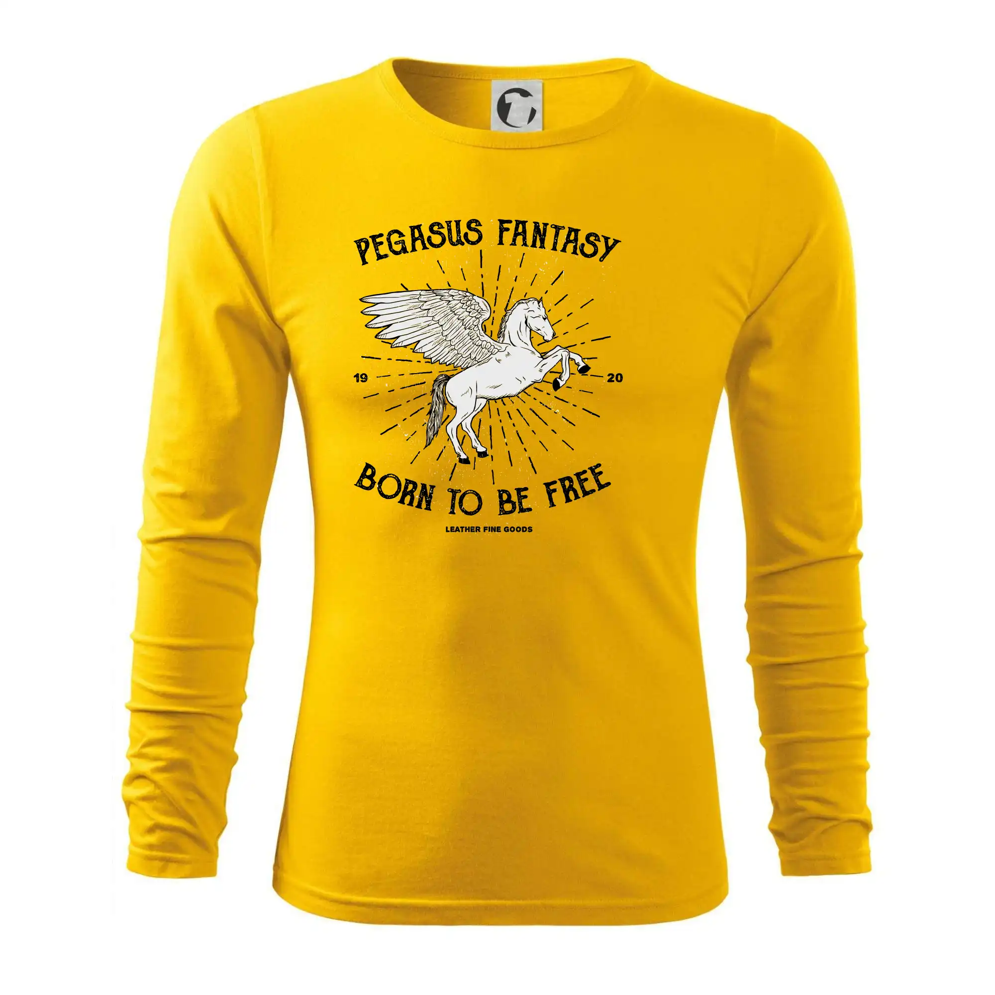 Pegasus fantasy