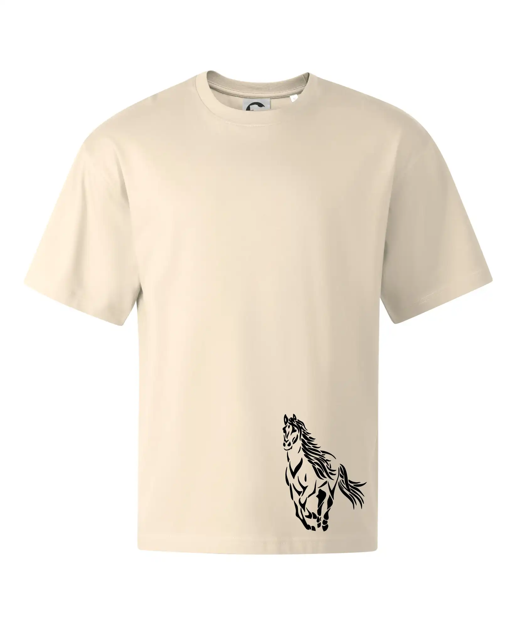 Kůň běžící