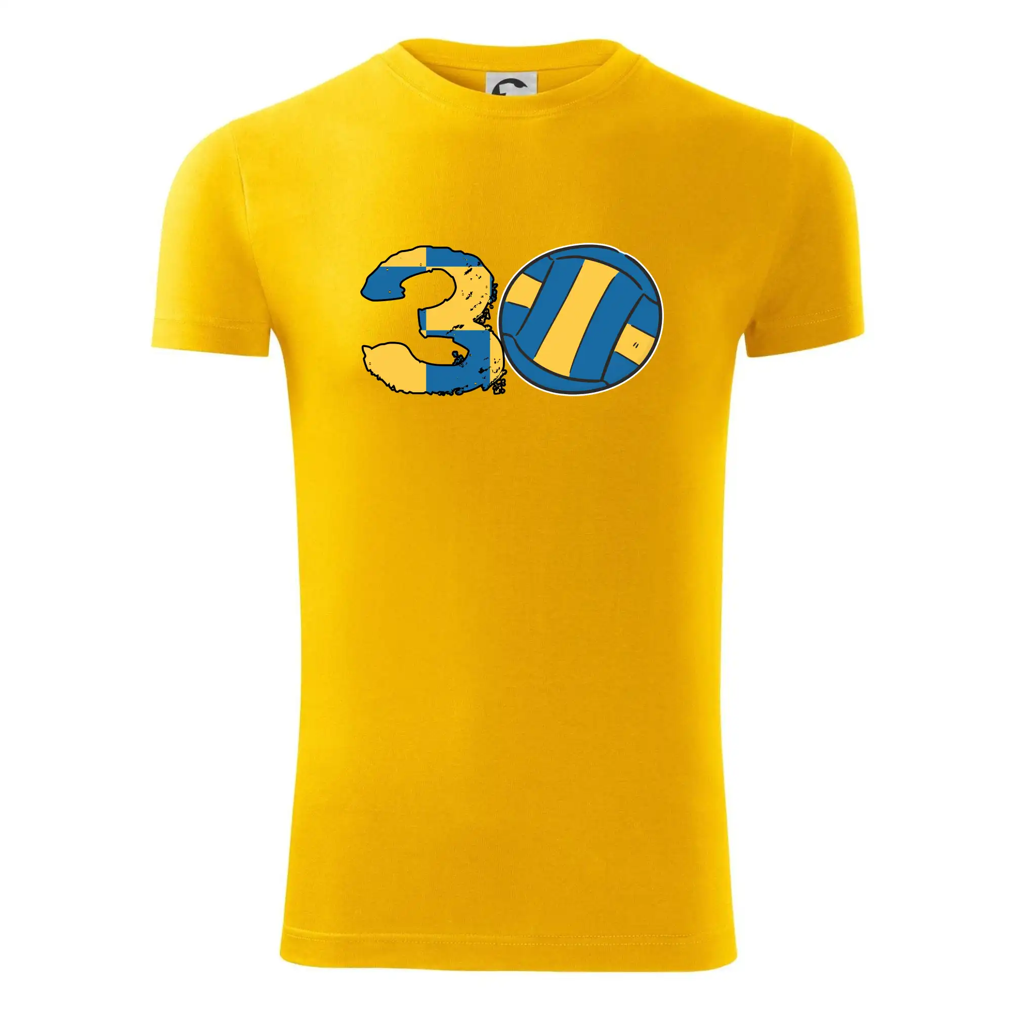 Volejbal kulaté narozeniny 30
