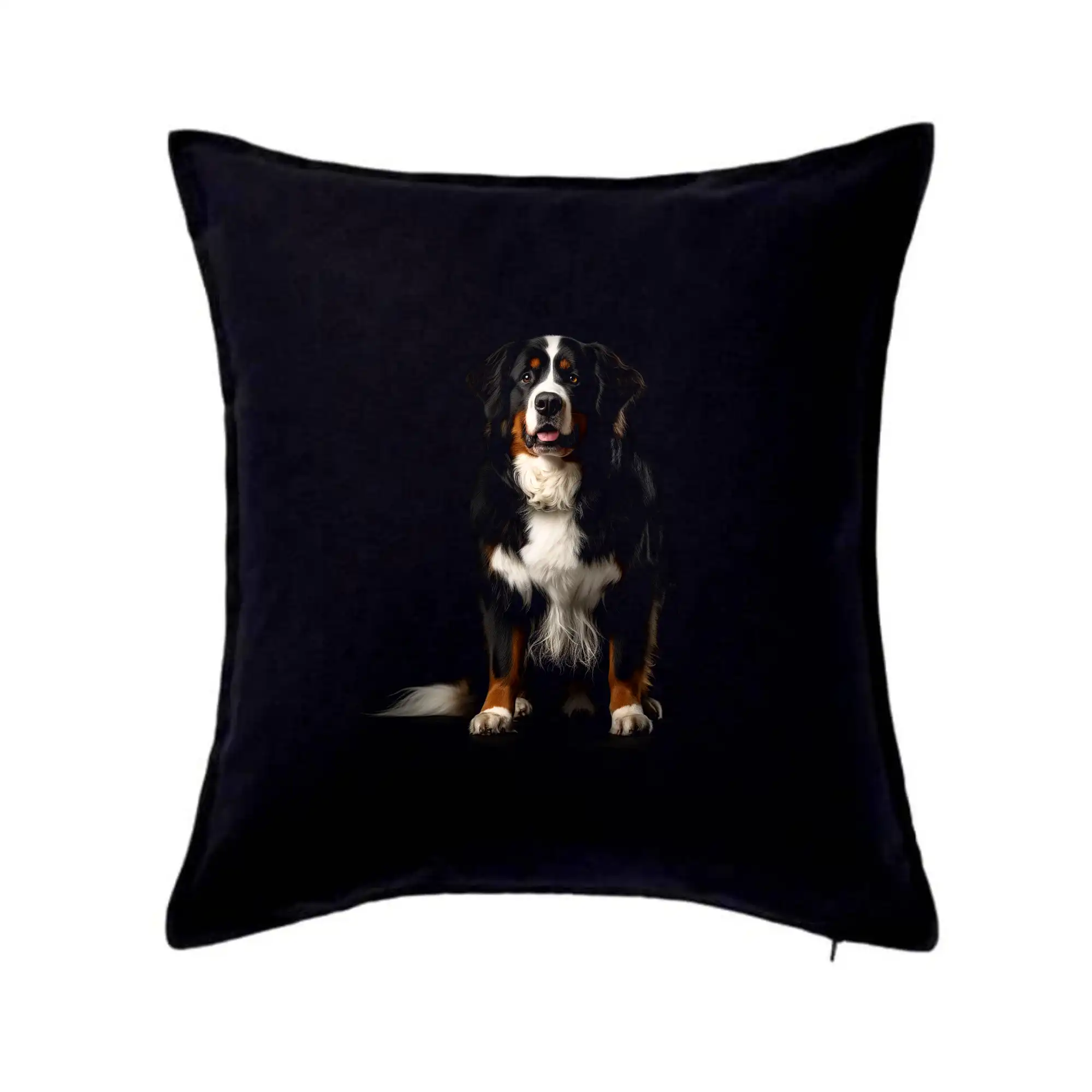 Bernský salašnický pes sedící černá fotka