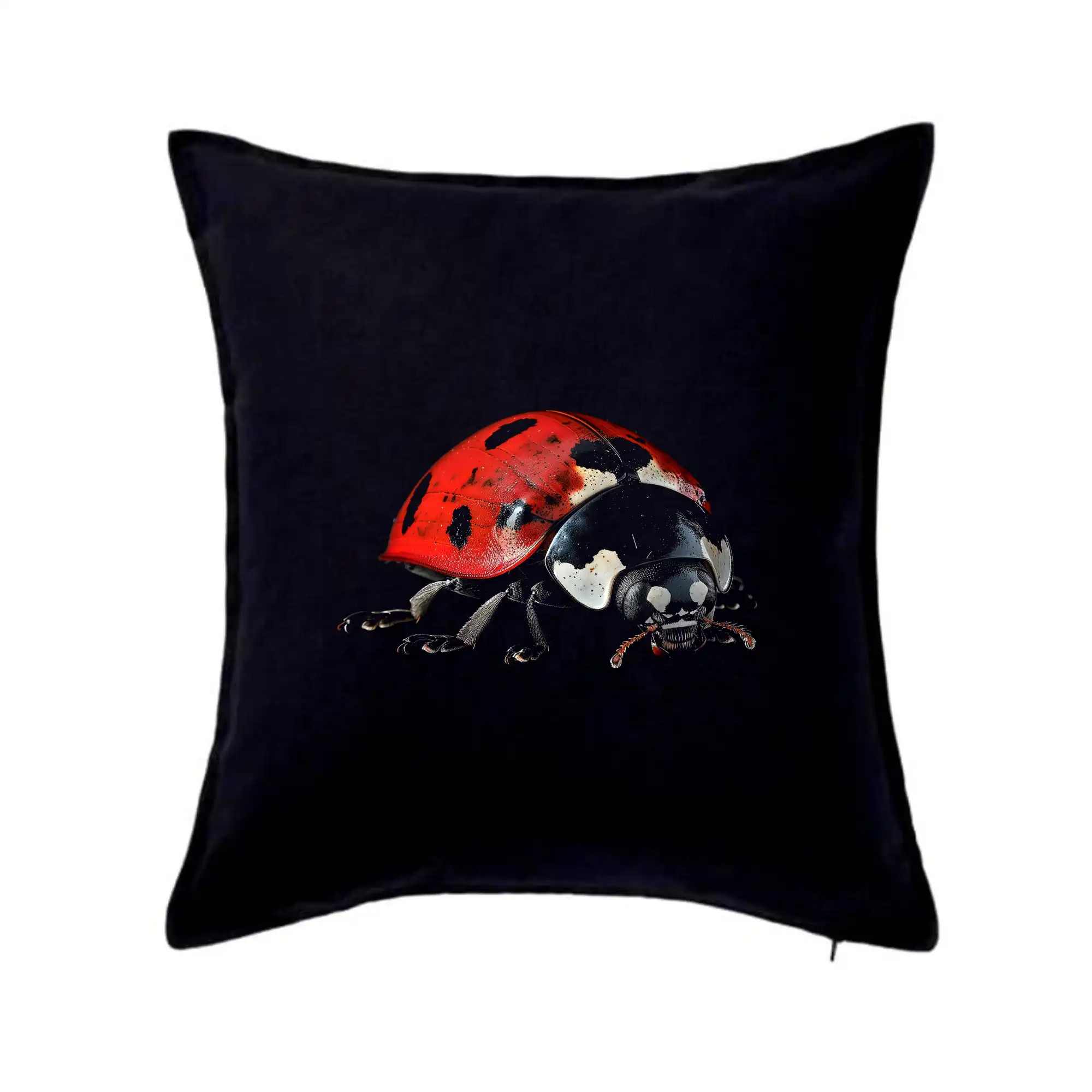 Beruška za ze předu černá fotka