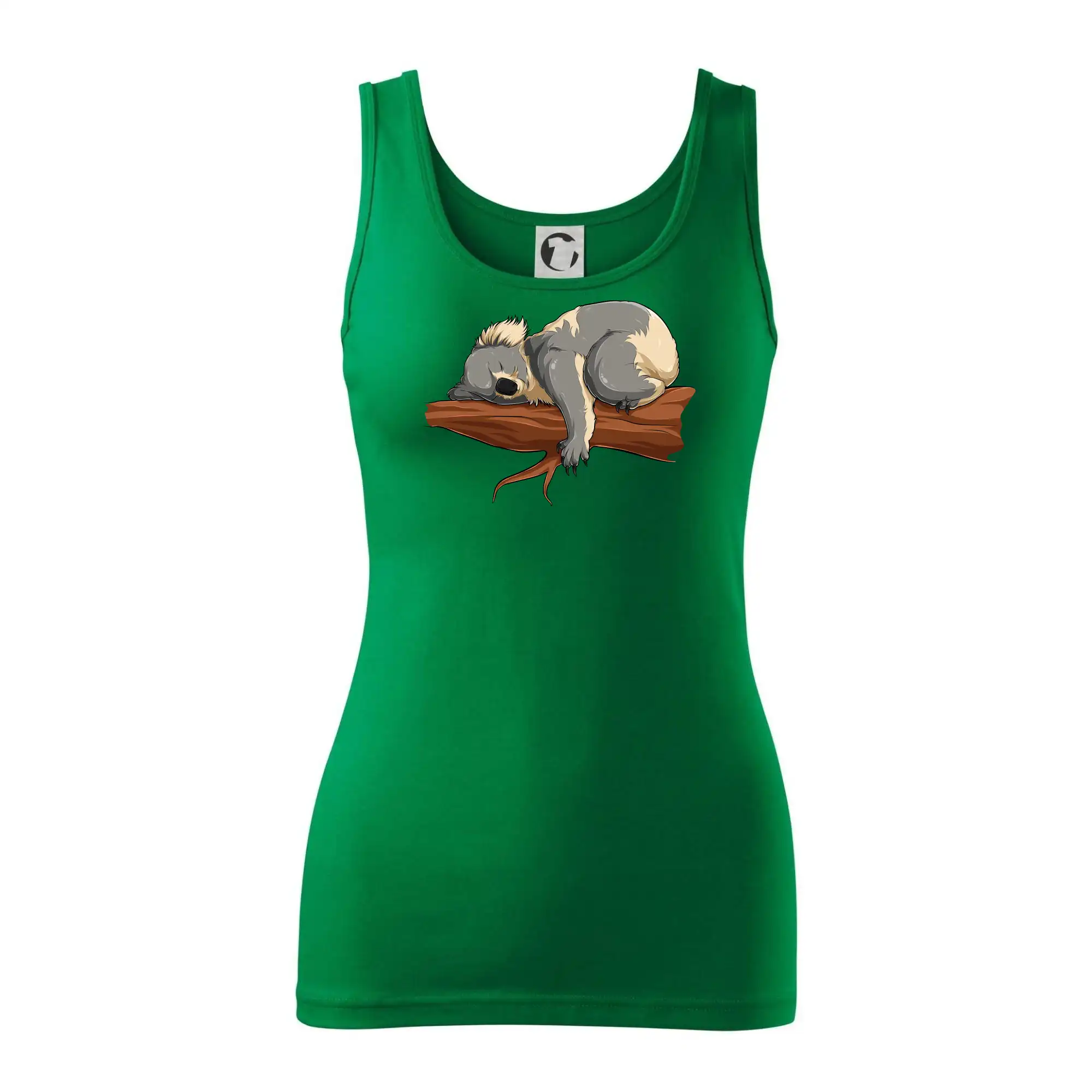 Koala na větvi