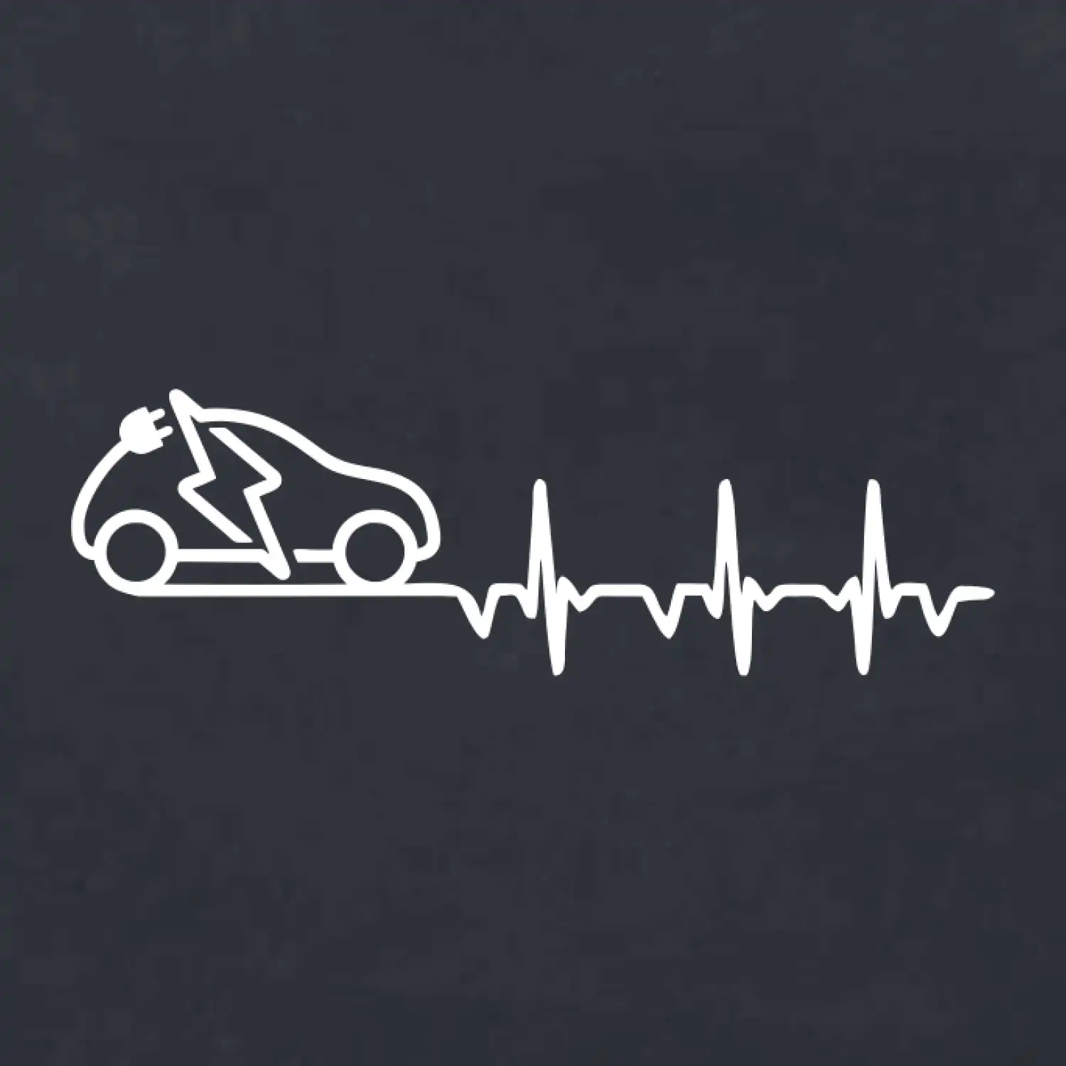 Ekg elektromobil