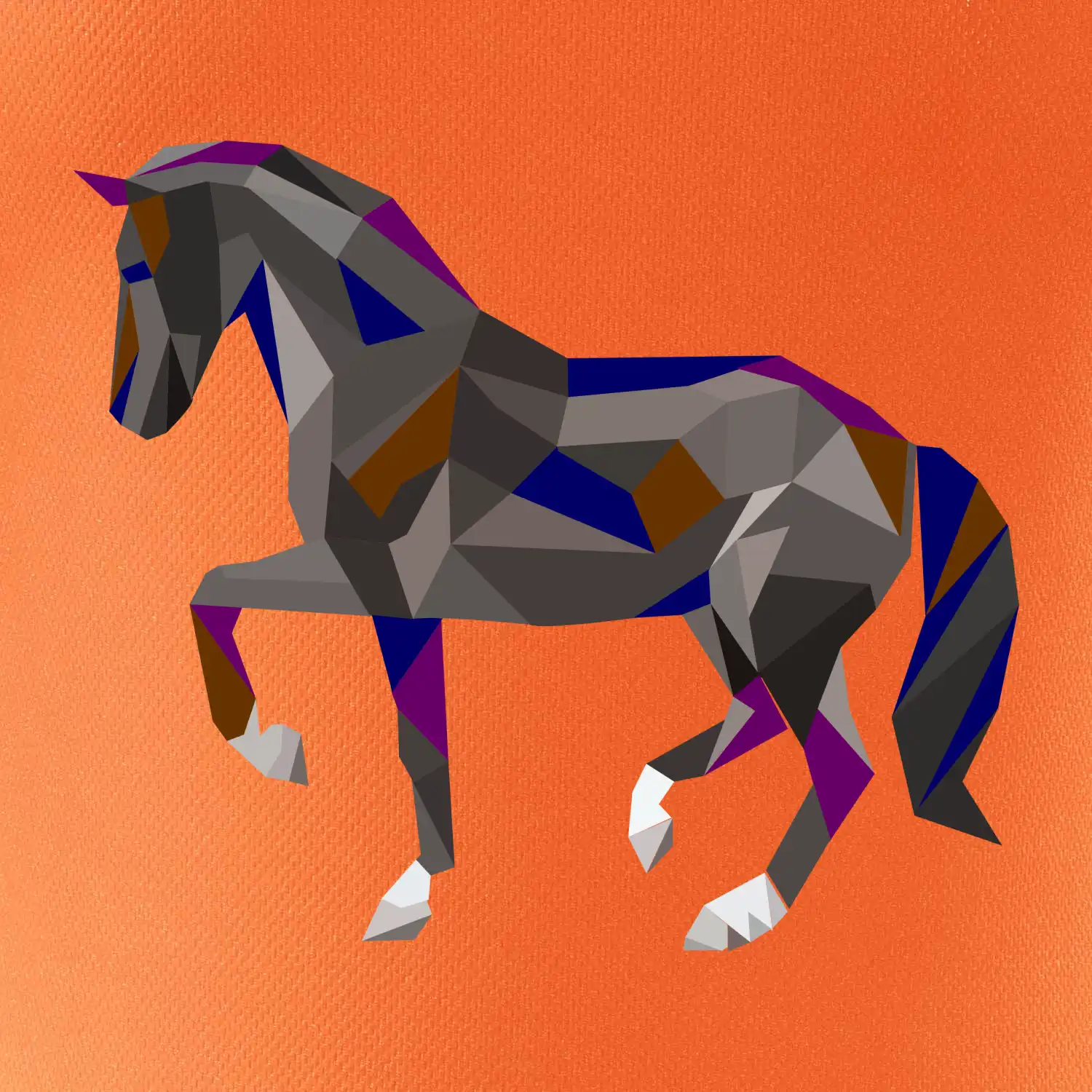 Kůň geometrie barevný