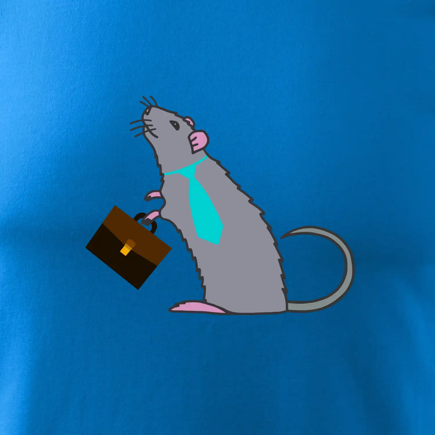 Krysa kancelářská barevná (Moňas)