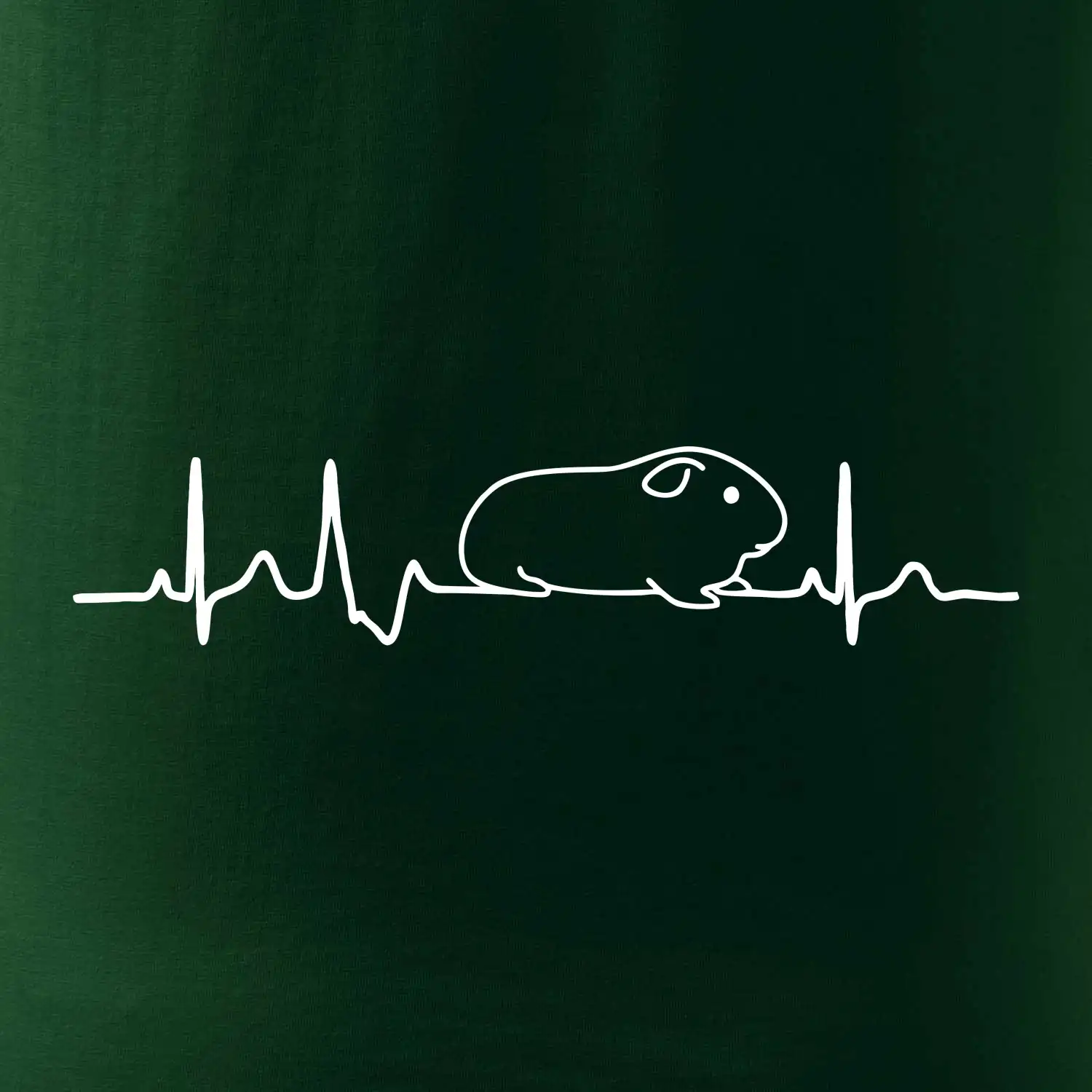 EKG morče