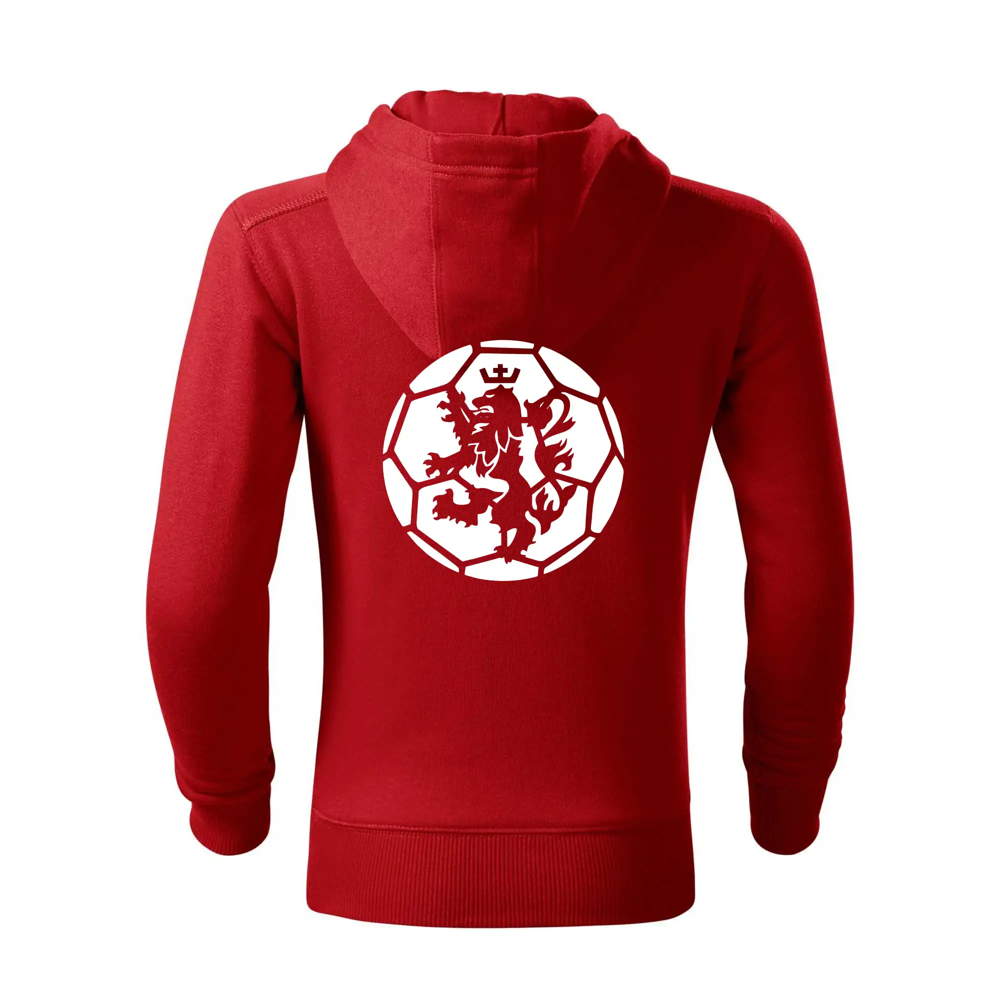 Házená míč lev