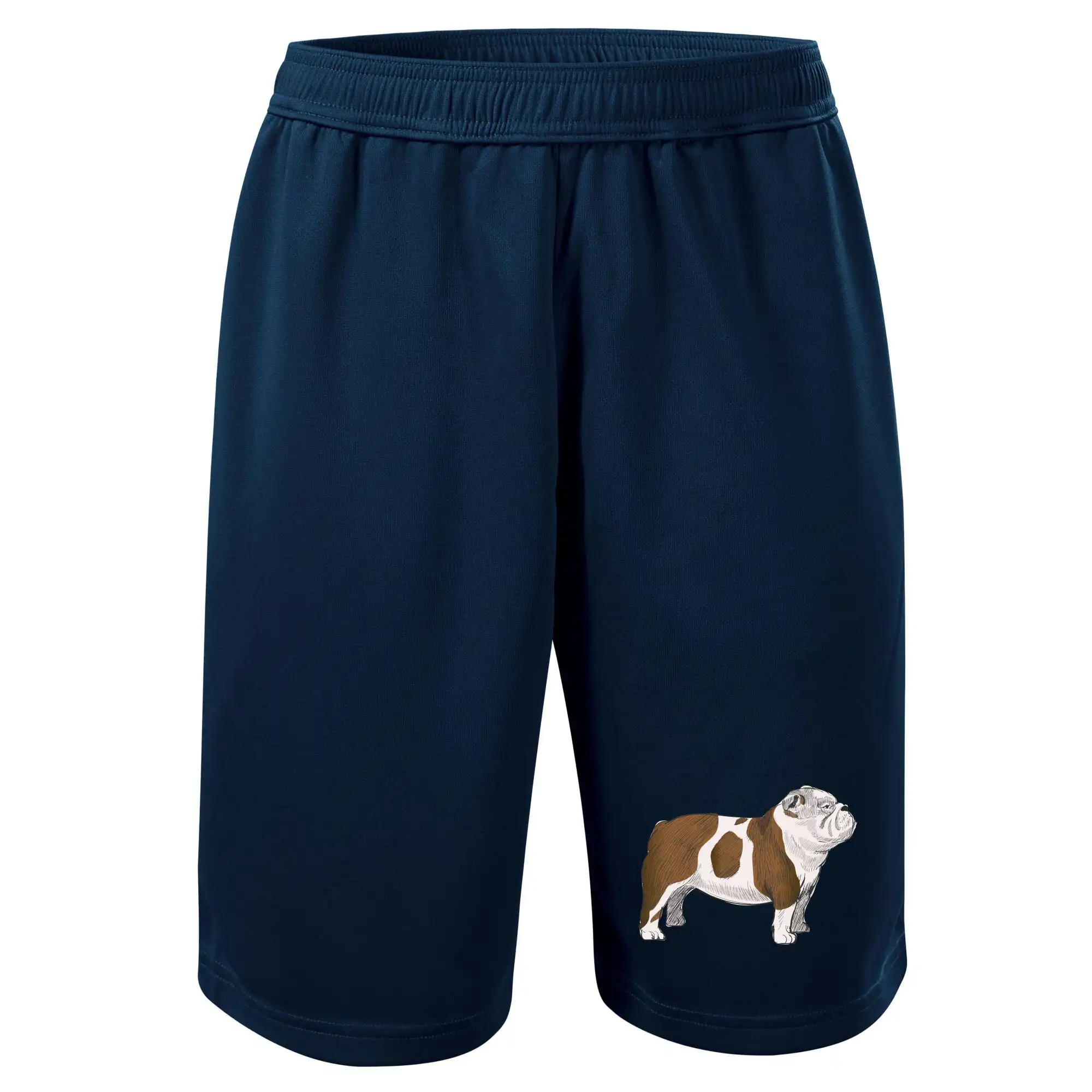 Vintage English bulldog