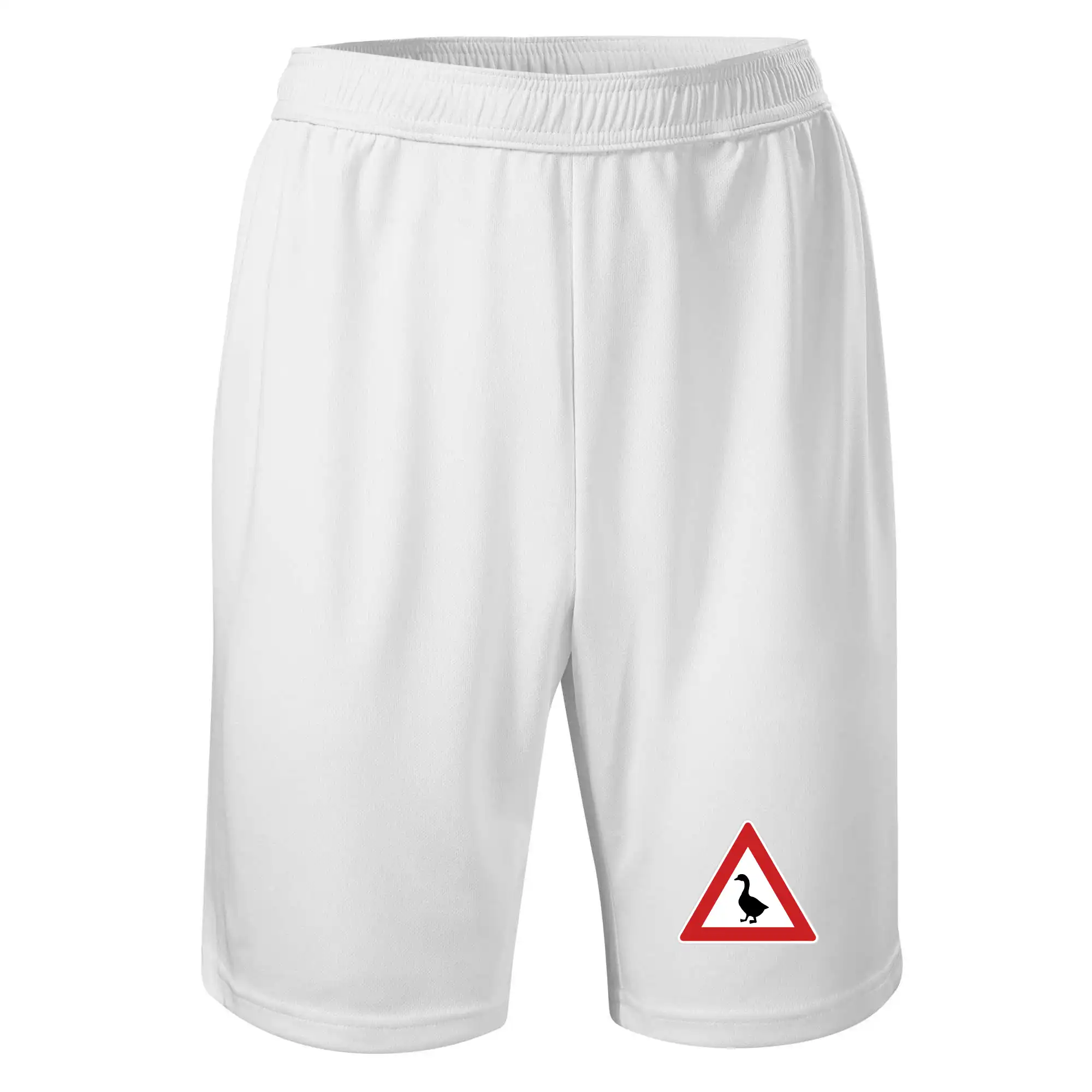 Dopravní značka - Pozor husa