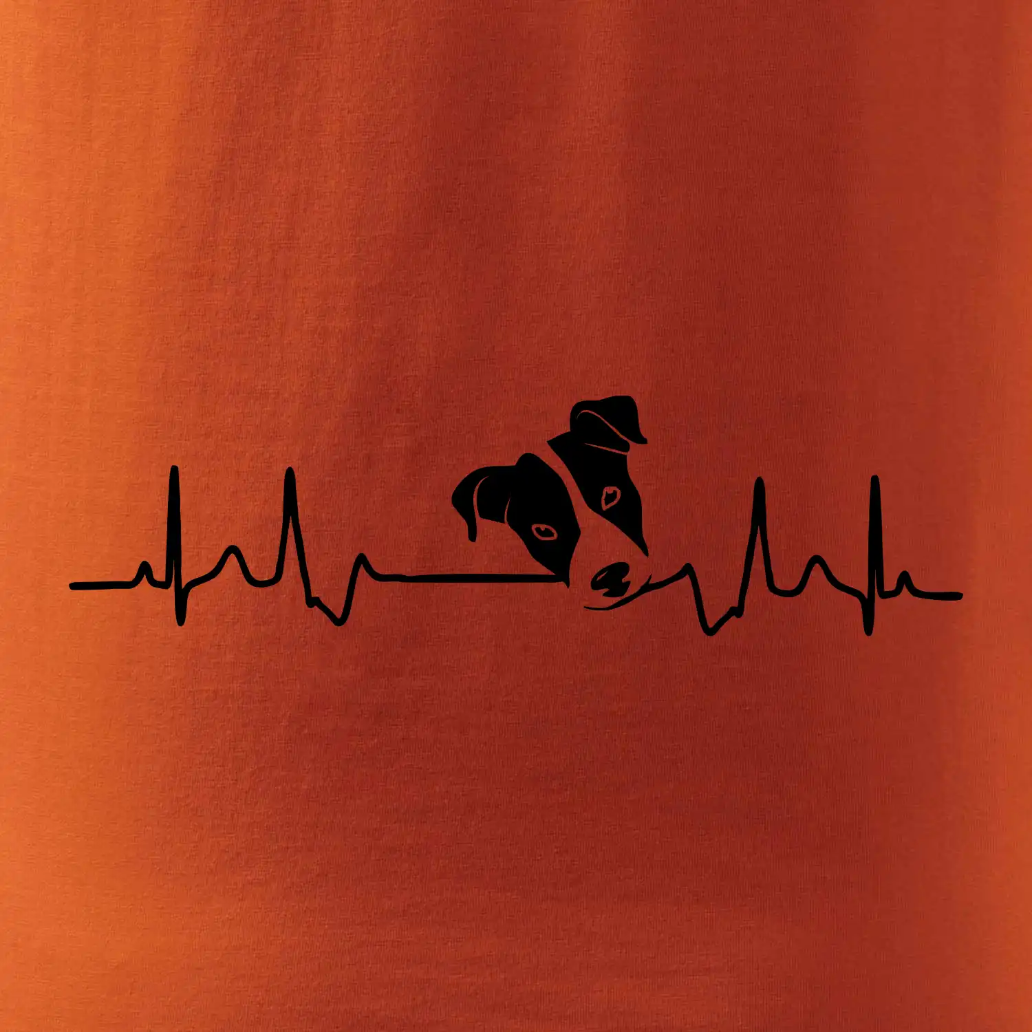 Jack Russell Terriér  - hlava