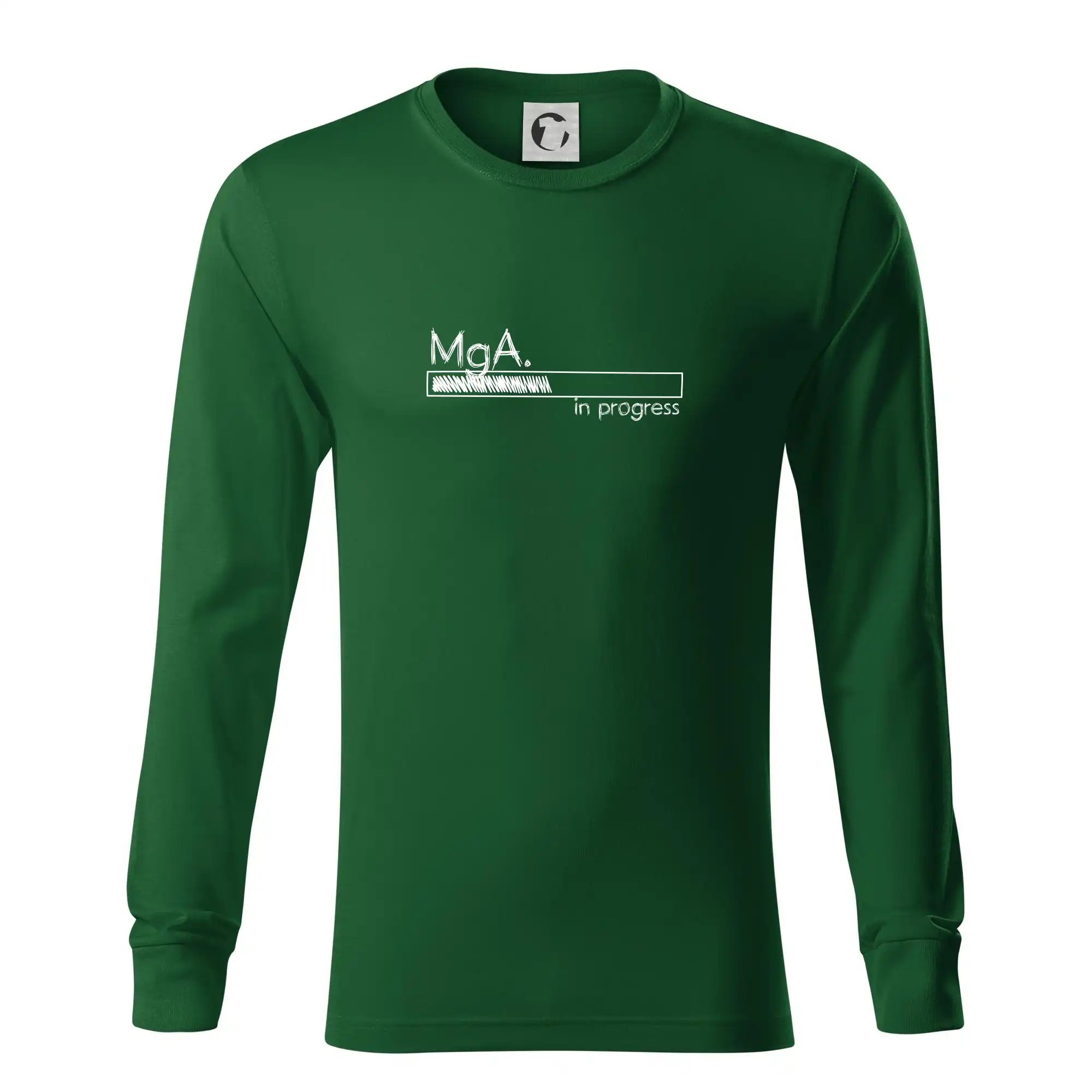 In progress titul MgA.  magistr / magistra umění