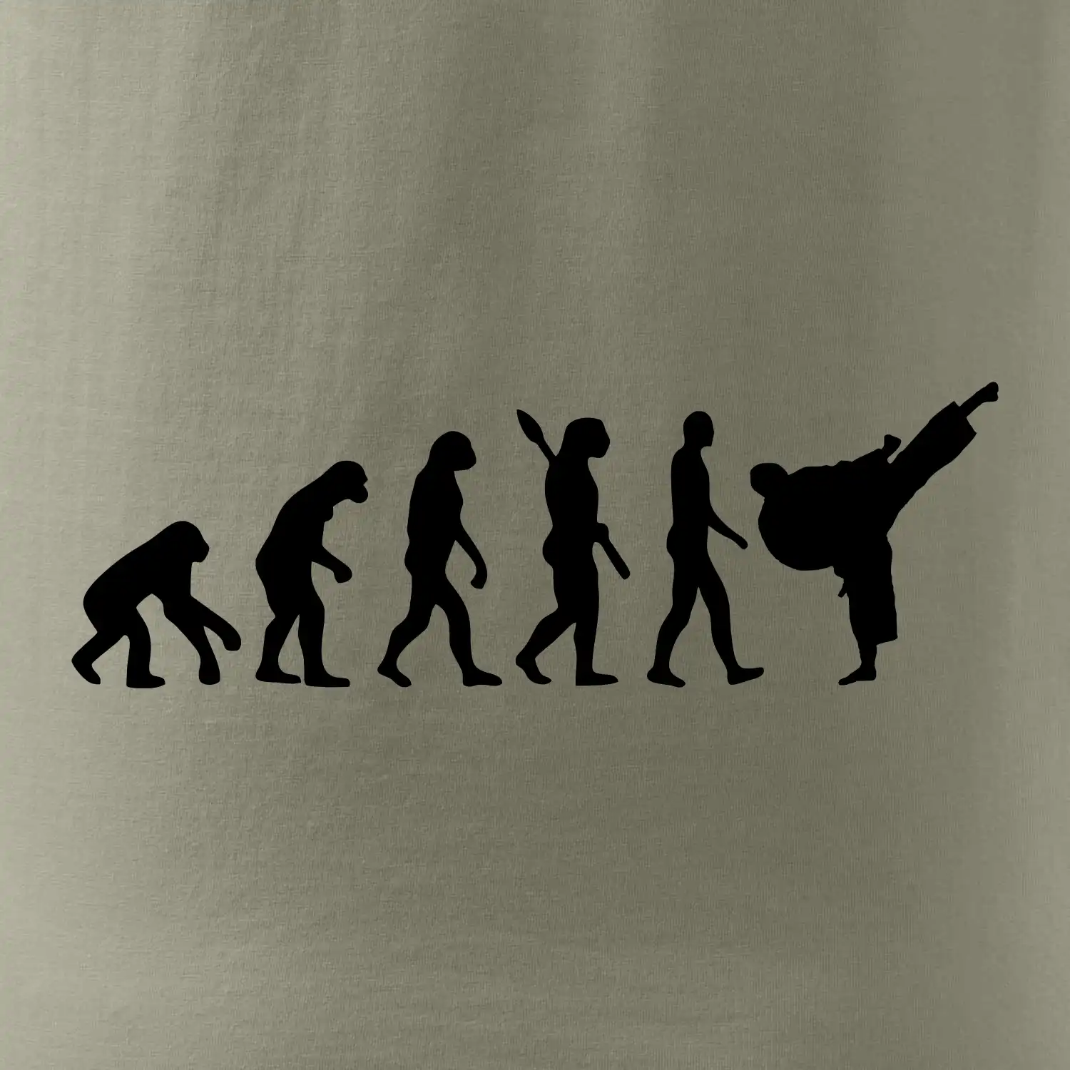 Karate Evoluce - kop