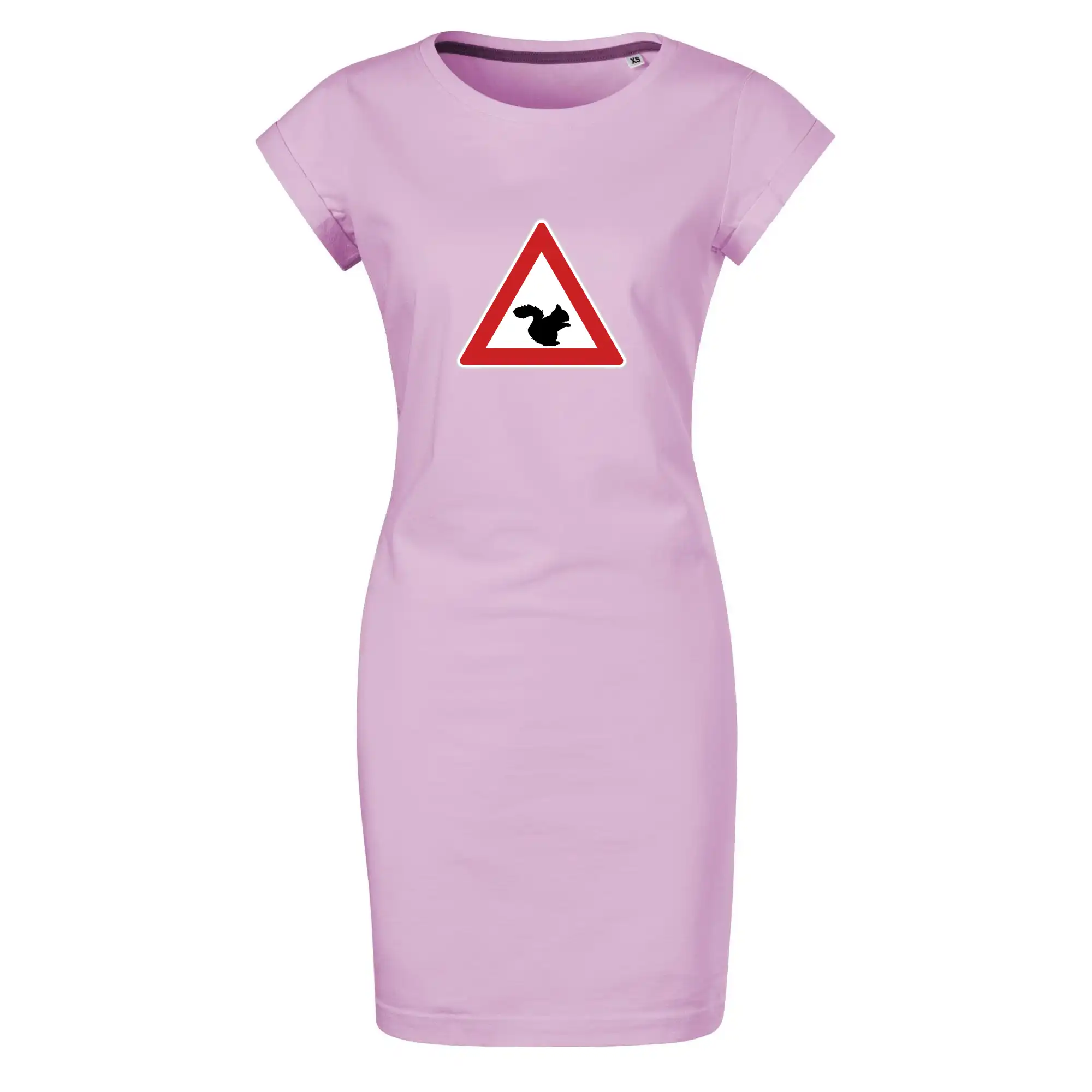 Dopravní značka - Pozor veverka