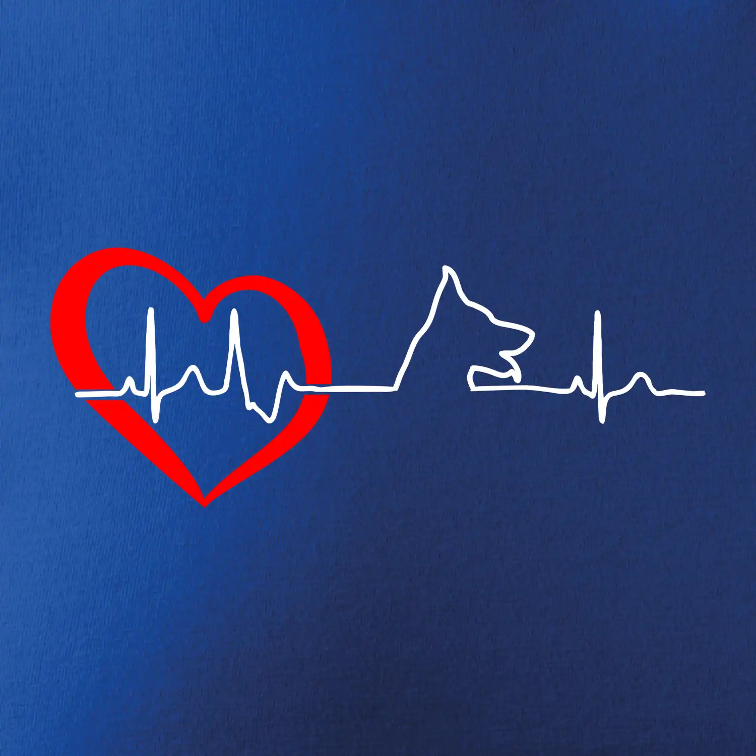 Německý ovčák ekg