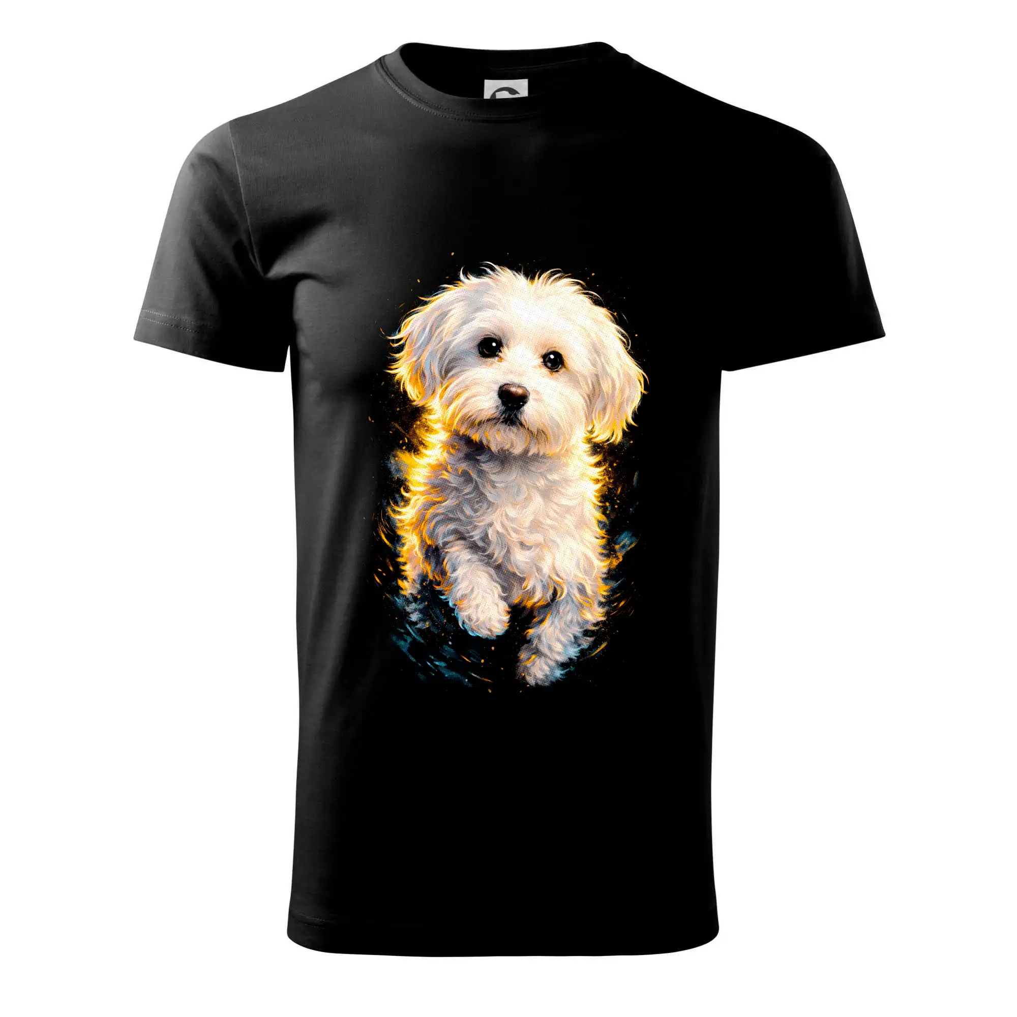 Obrázek polotón Maltezský psík