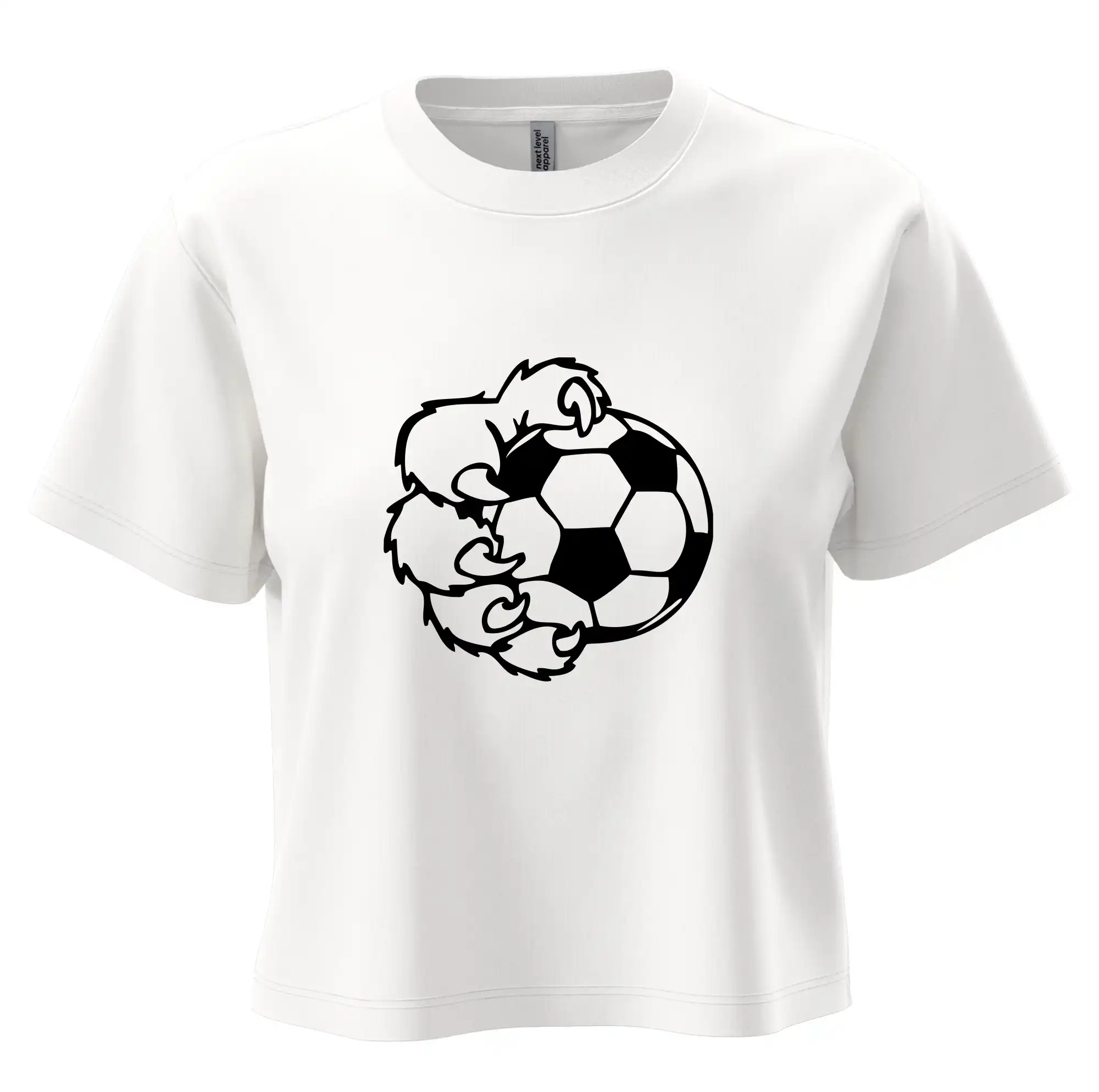 Medvědí tlapa fotbal