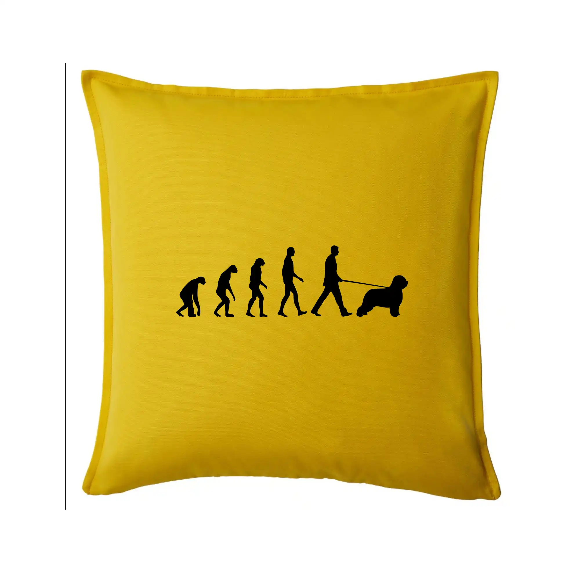 Ostatné psie plemená - Evolúcia pes Briard - Vankúš 50x50