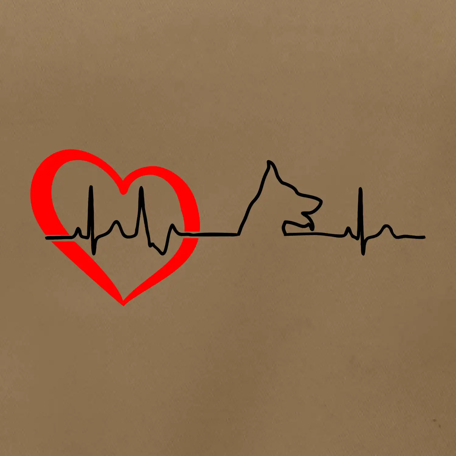 Německý ovčák ekg