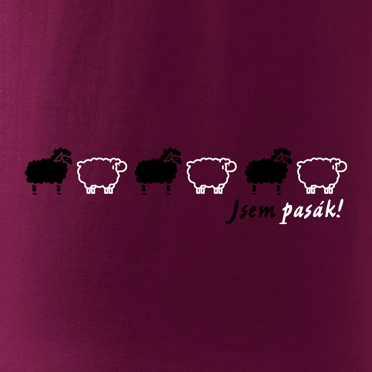 Jsem pasák - ovce v řadě
