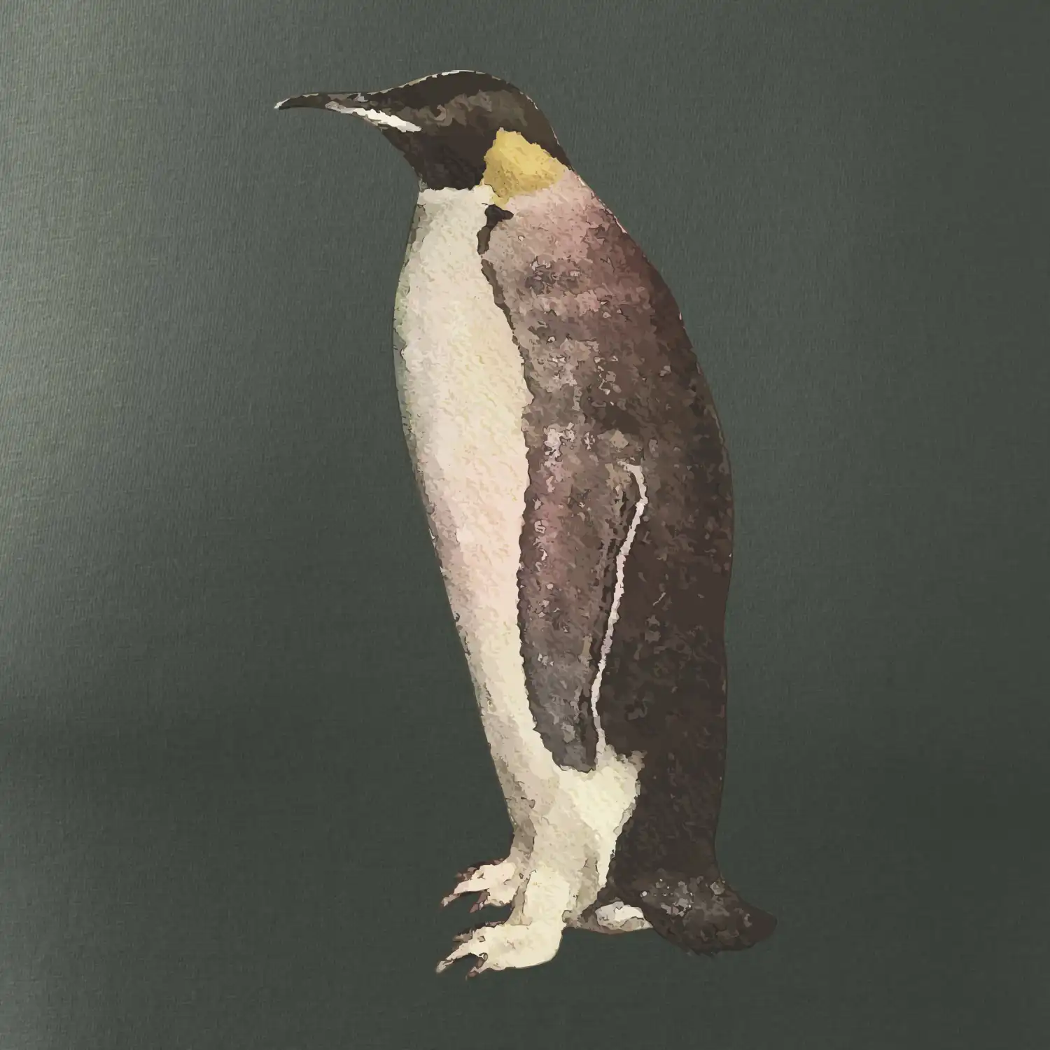 Tučňák kreslený vodovými barvami