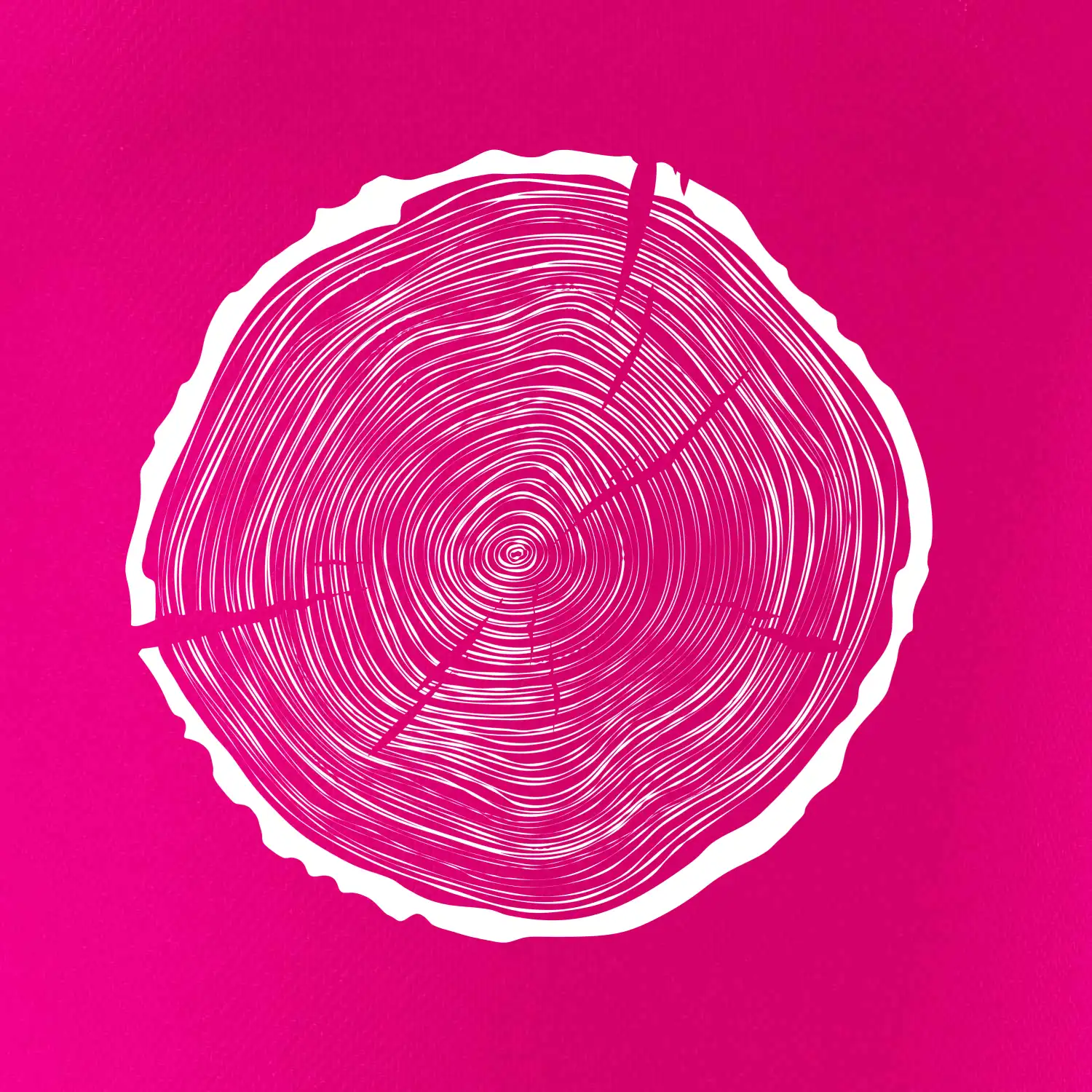 Letokruhy 55 bez věku