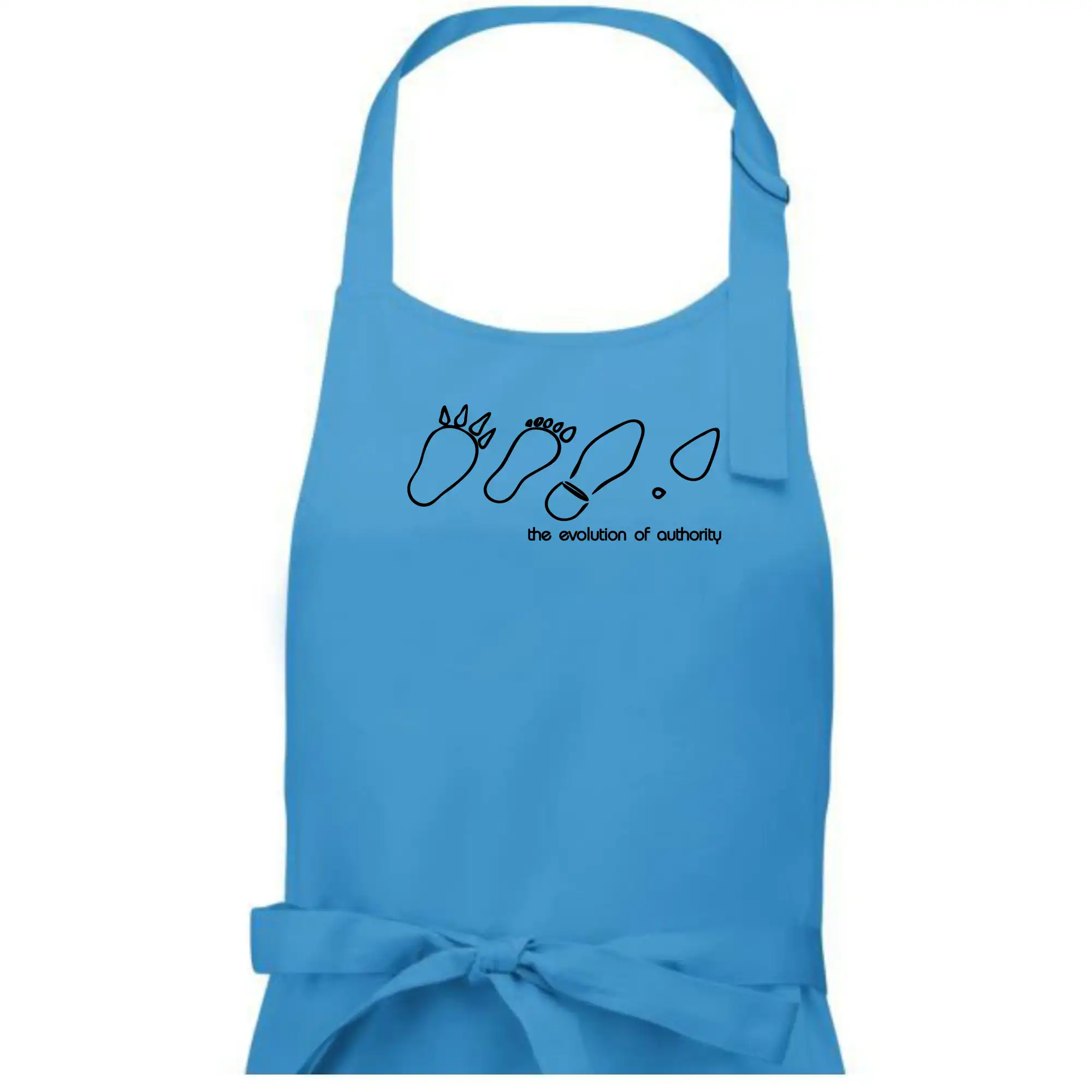 Evolution of authority