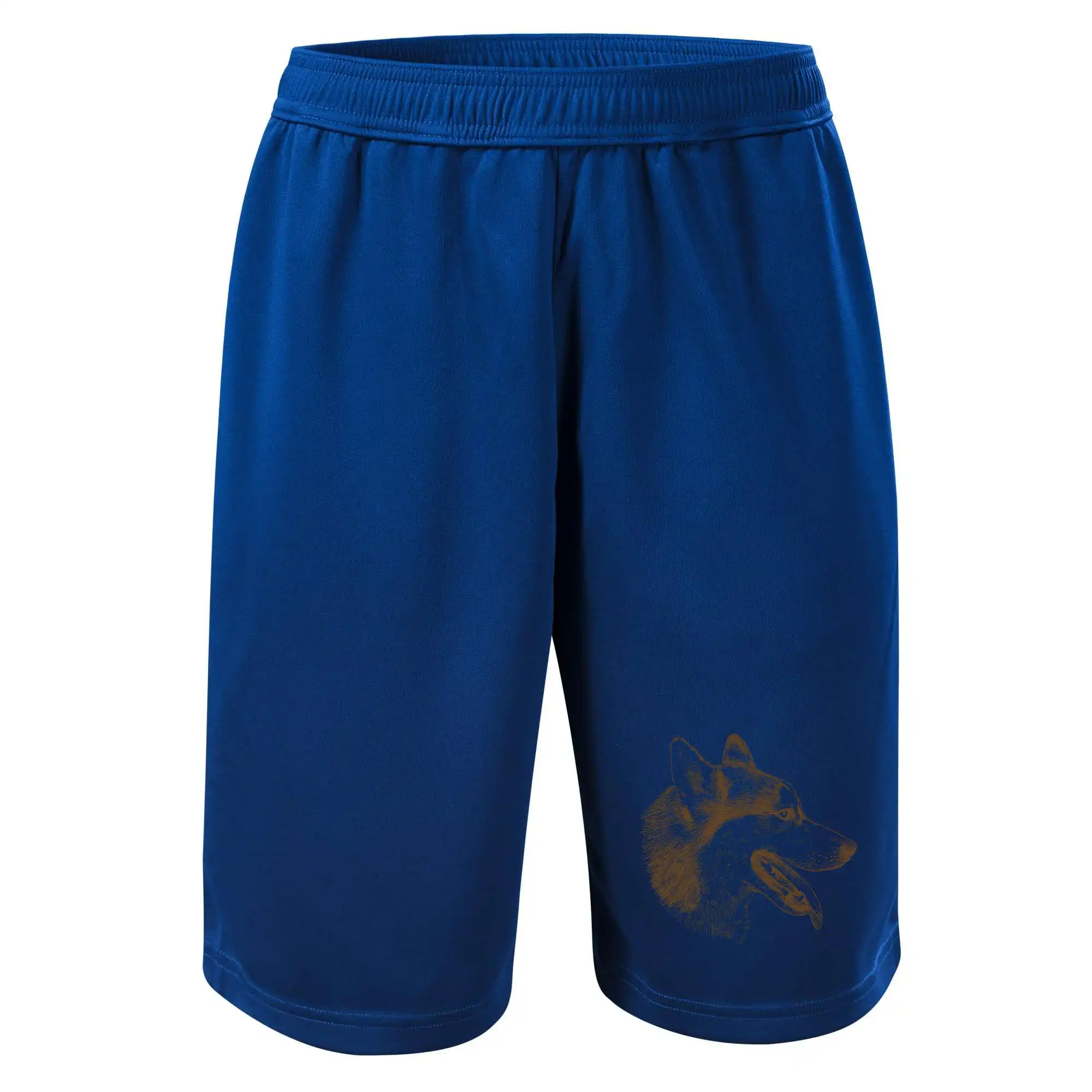 Husky - hlava z boku