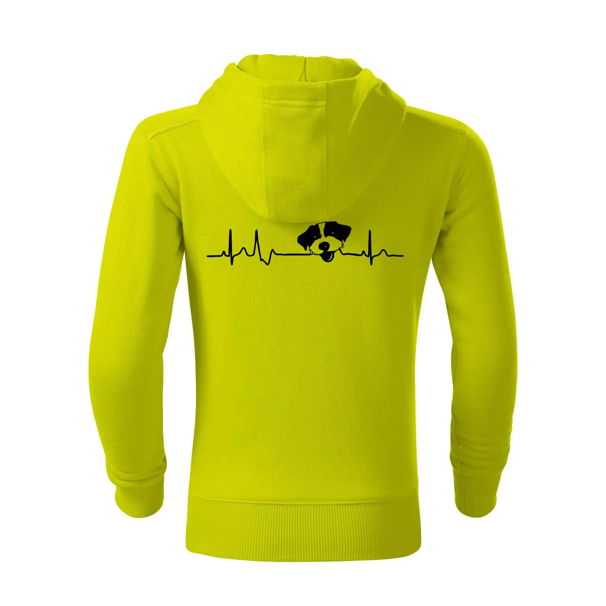 Jack Russell Terriér hrubosrstý Ekg