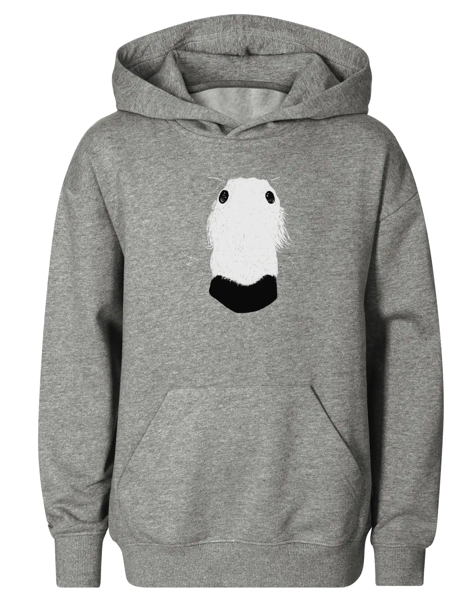 Barzoj čumák (Moňas)