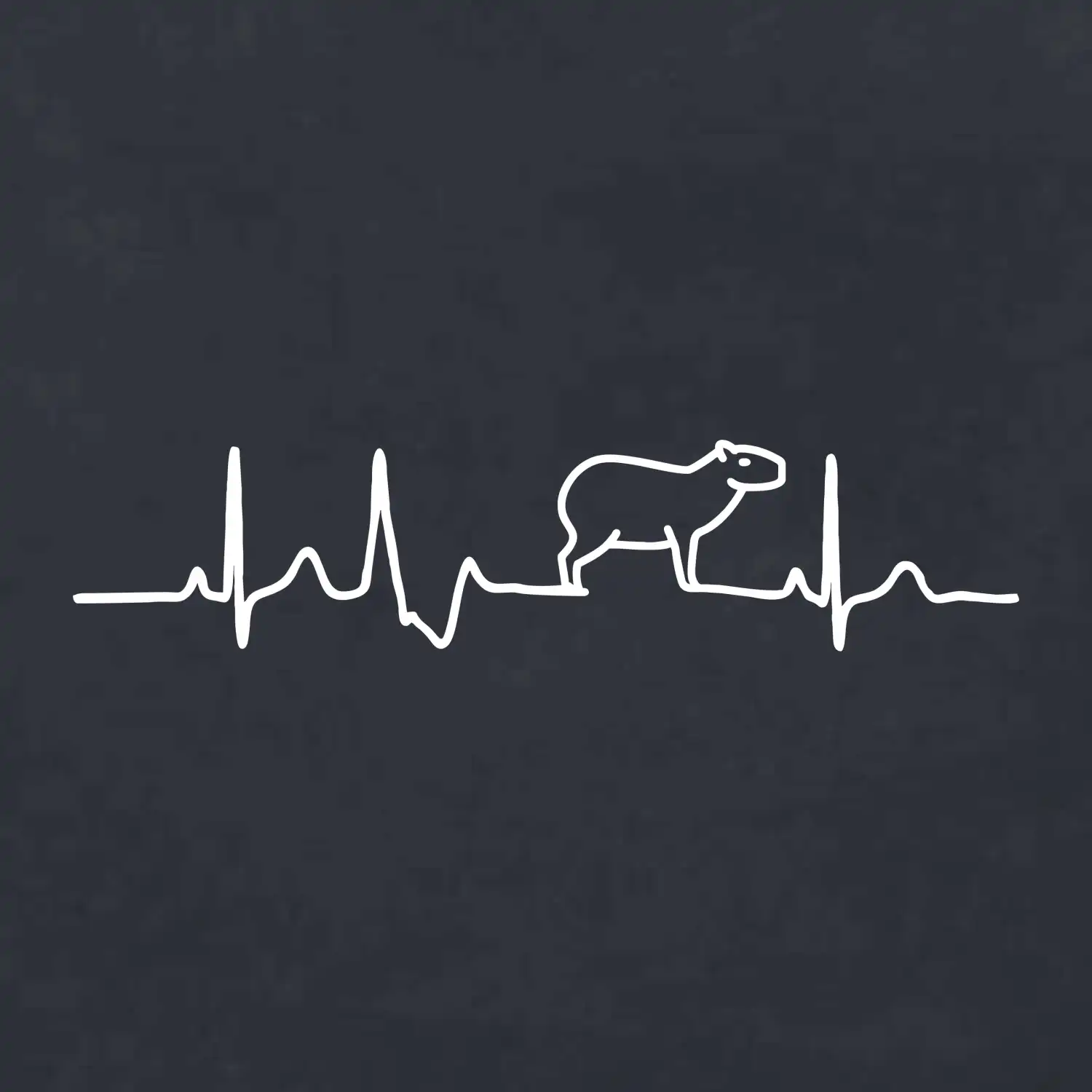 Ekg Capybara