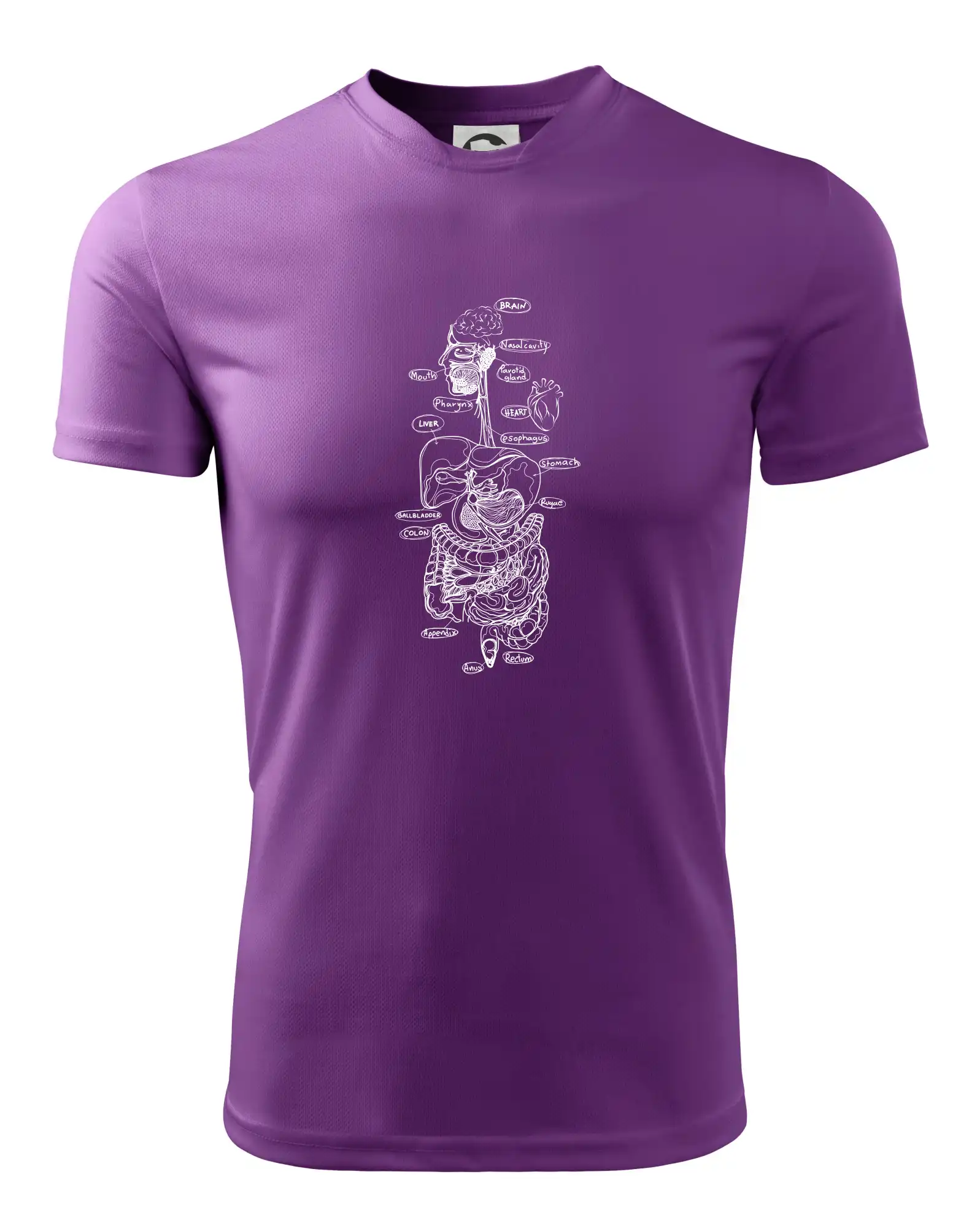 Skica lidských orgánů