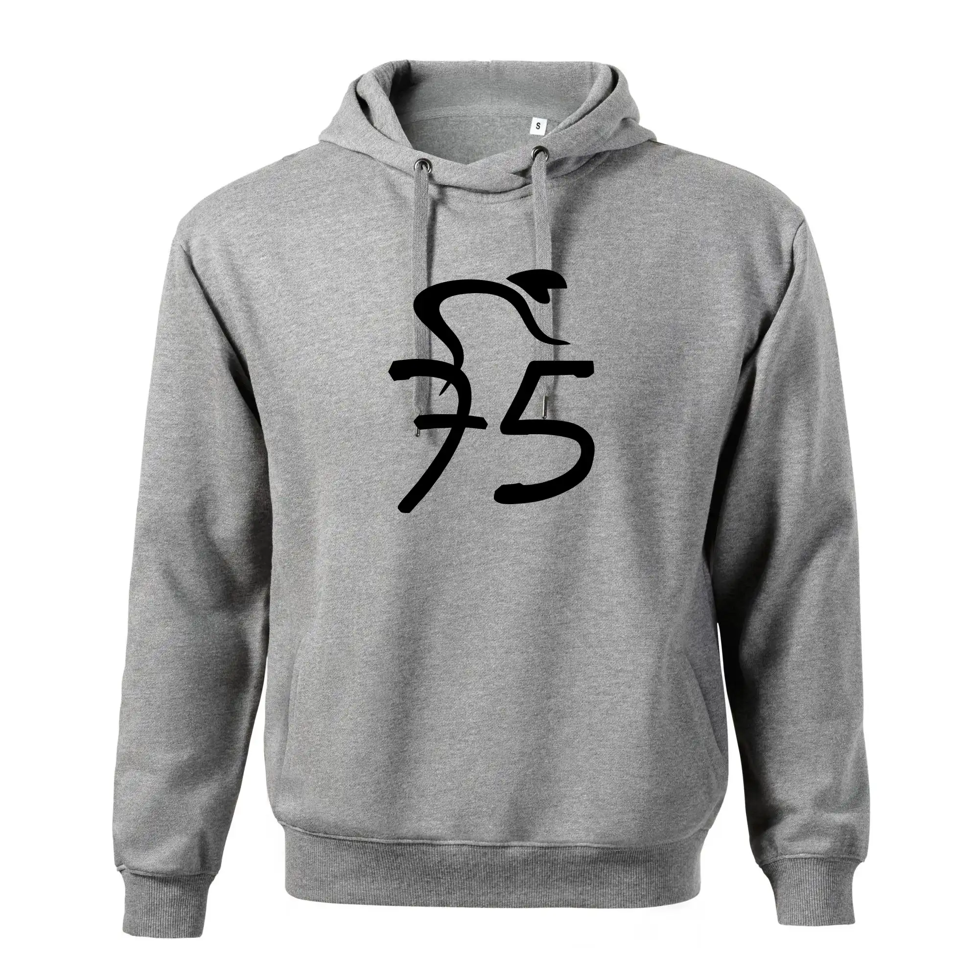 Cyklista slaví pětasedmdesátku (75)