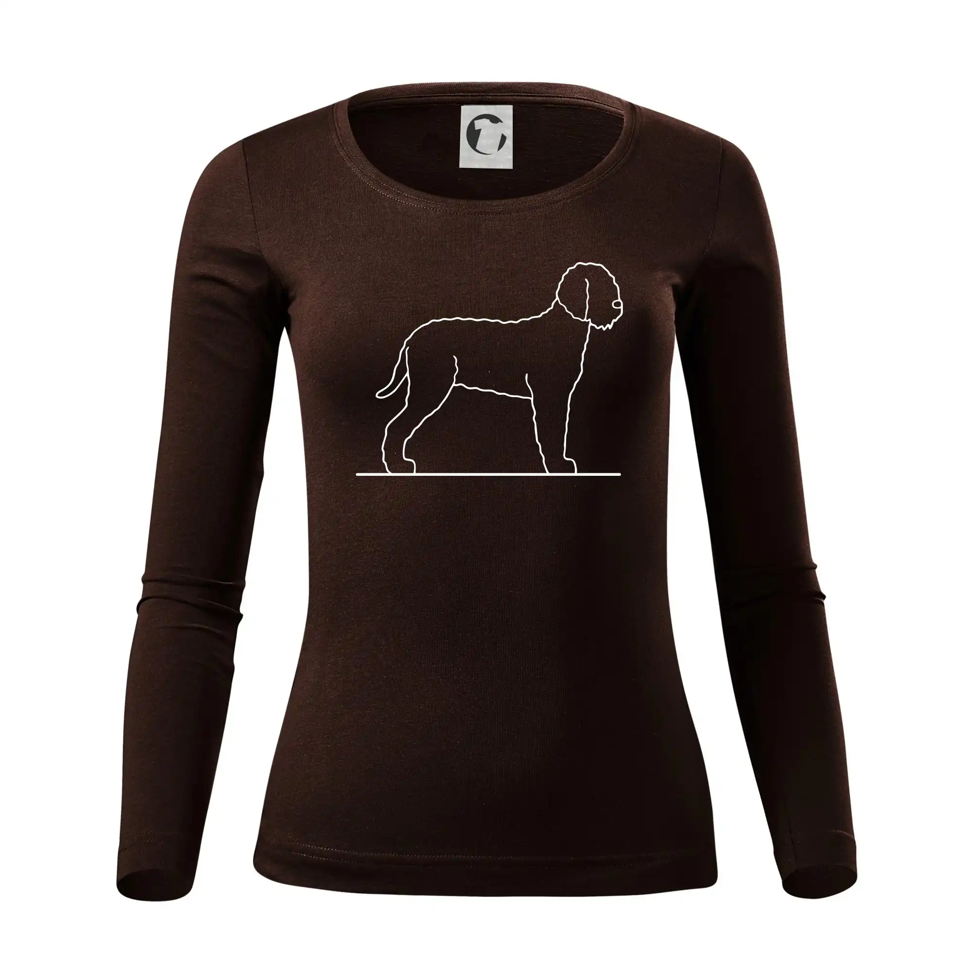 Lagotto romagnolo stojící