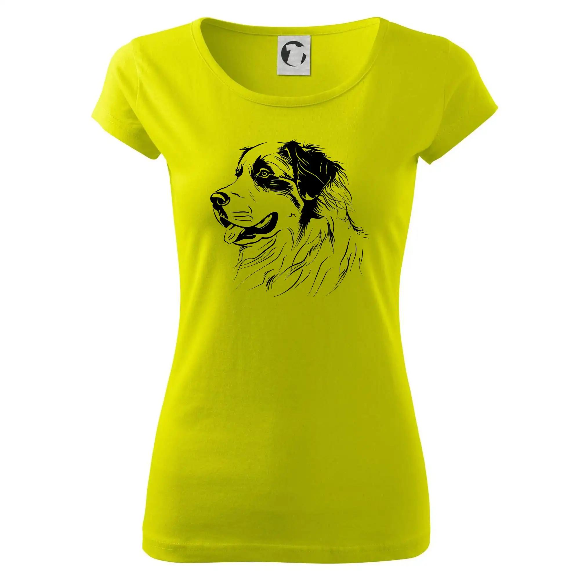 Bernský salašnický pes černá kresba