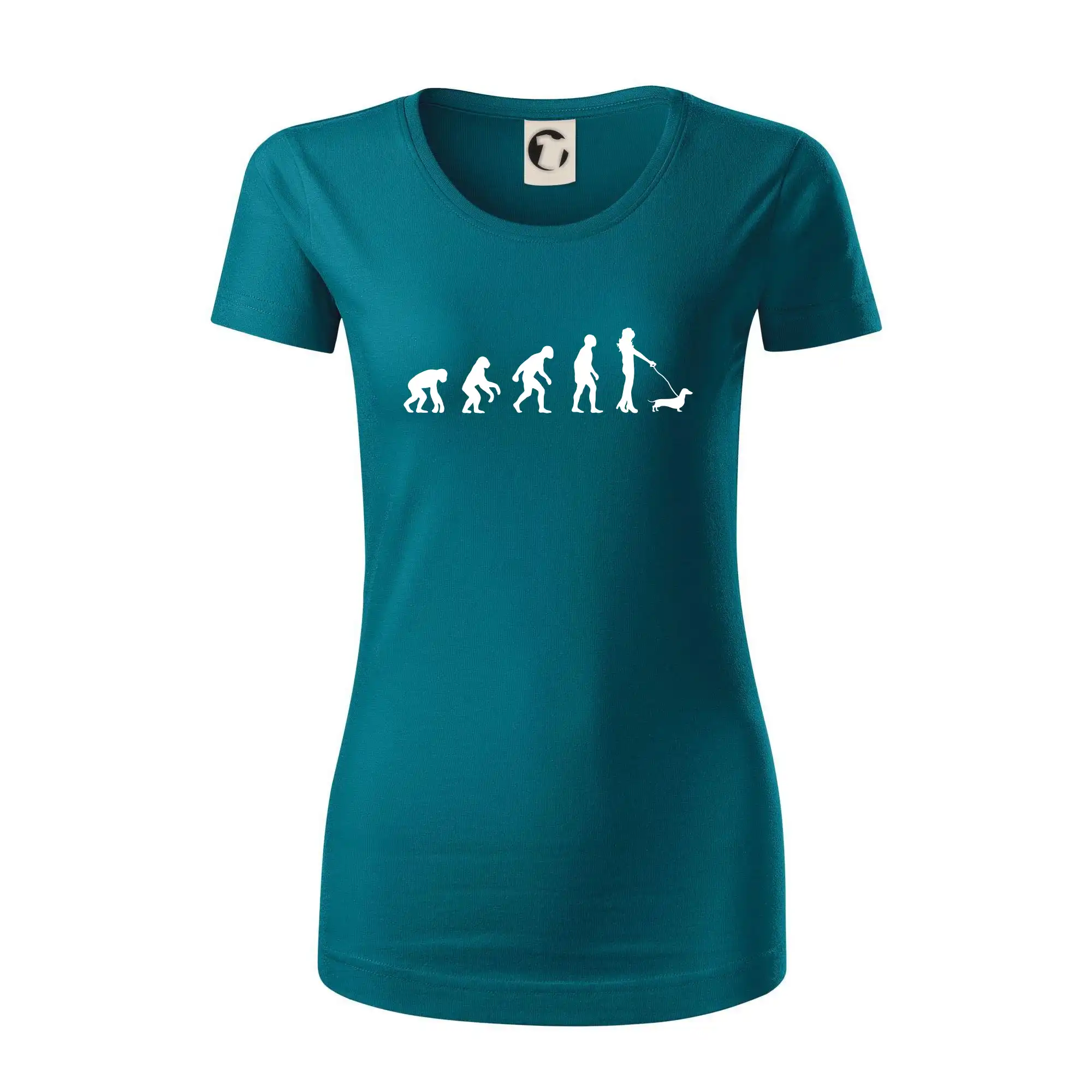 Jezevčík Evoluce žena