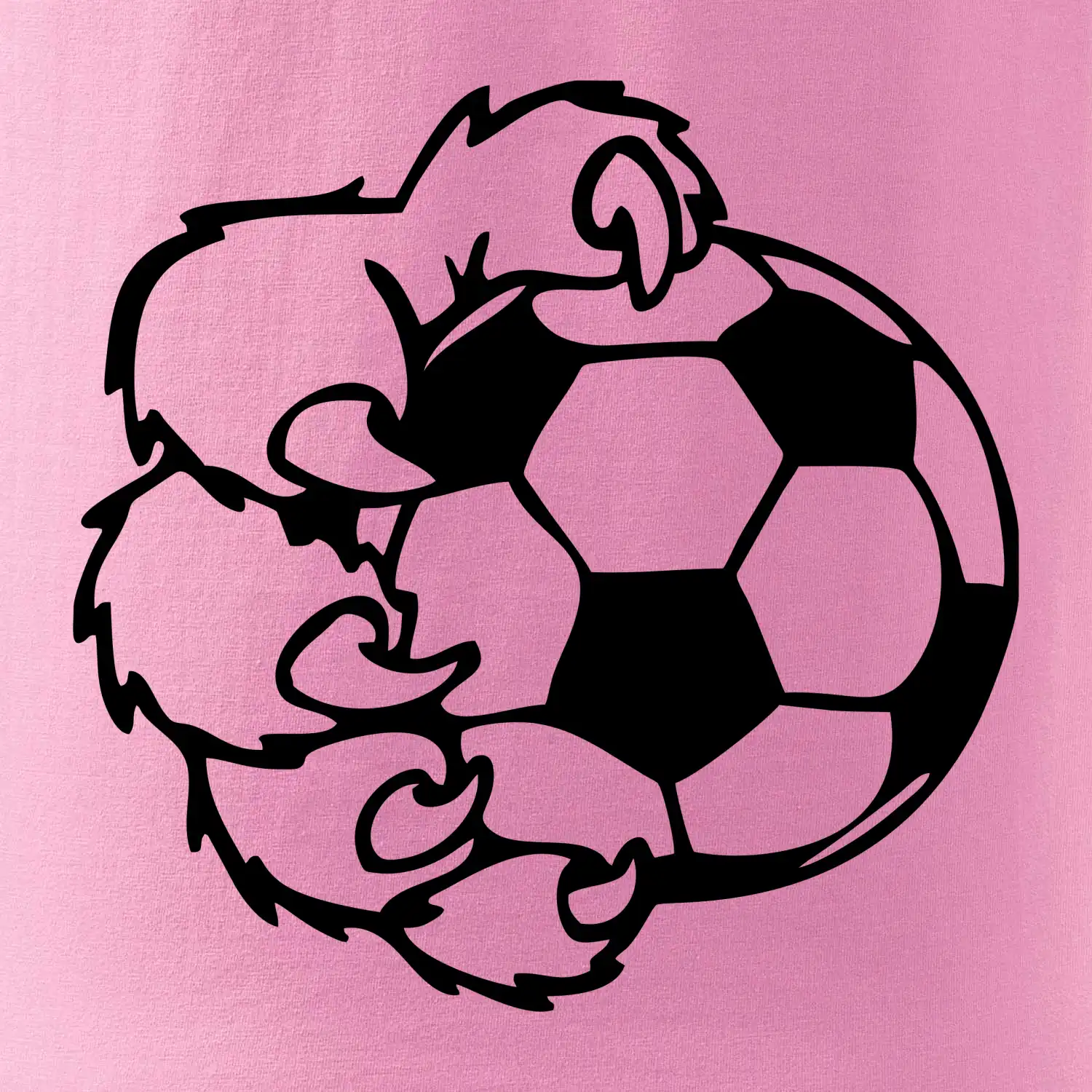 Medvědí tlapa fotbal