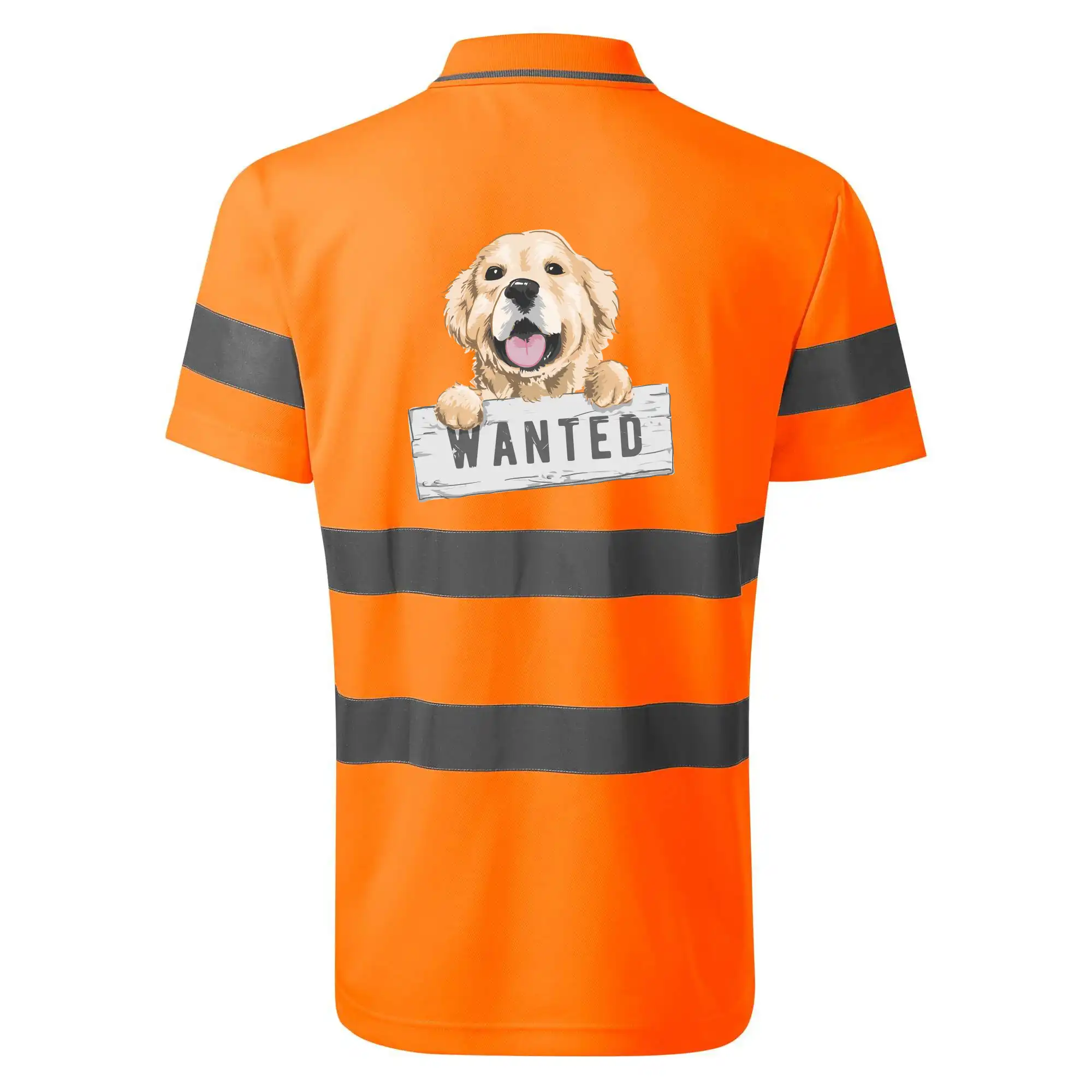 Zlatý retriever - štěně wanted