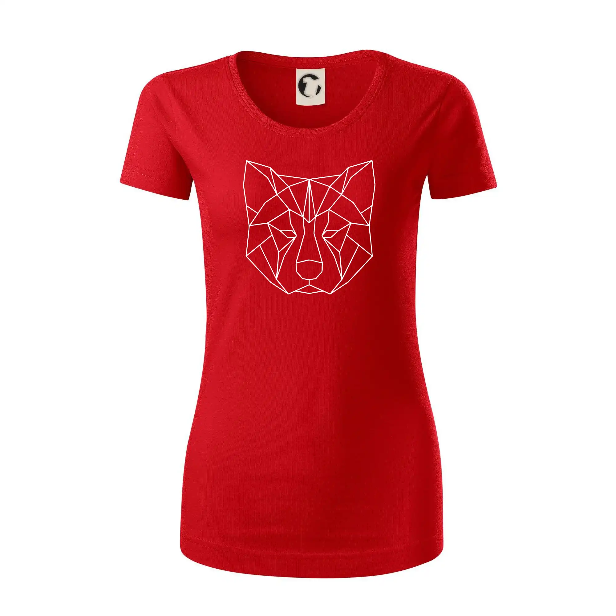 Akita Inu - Geometrie