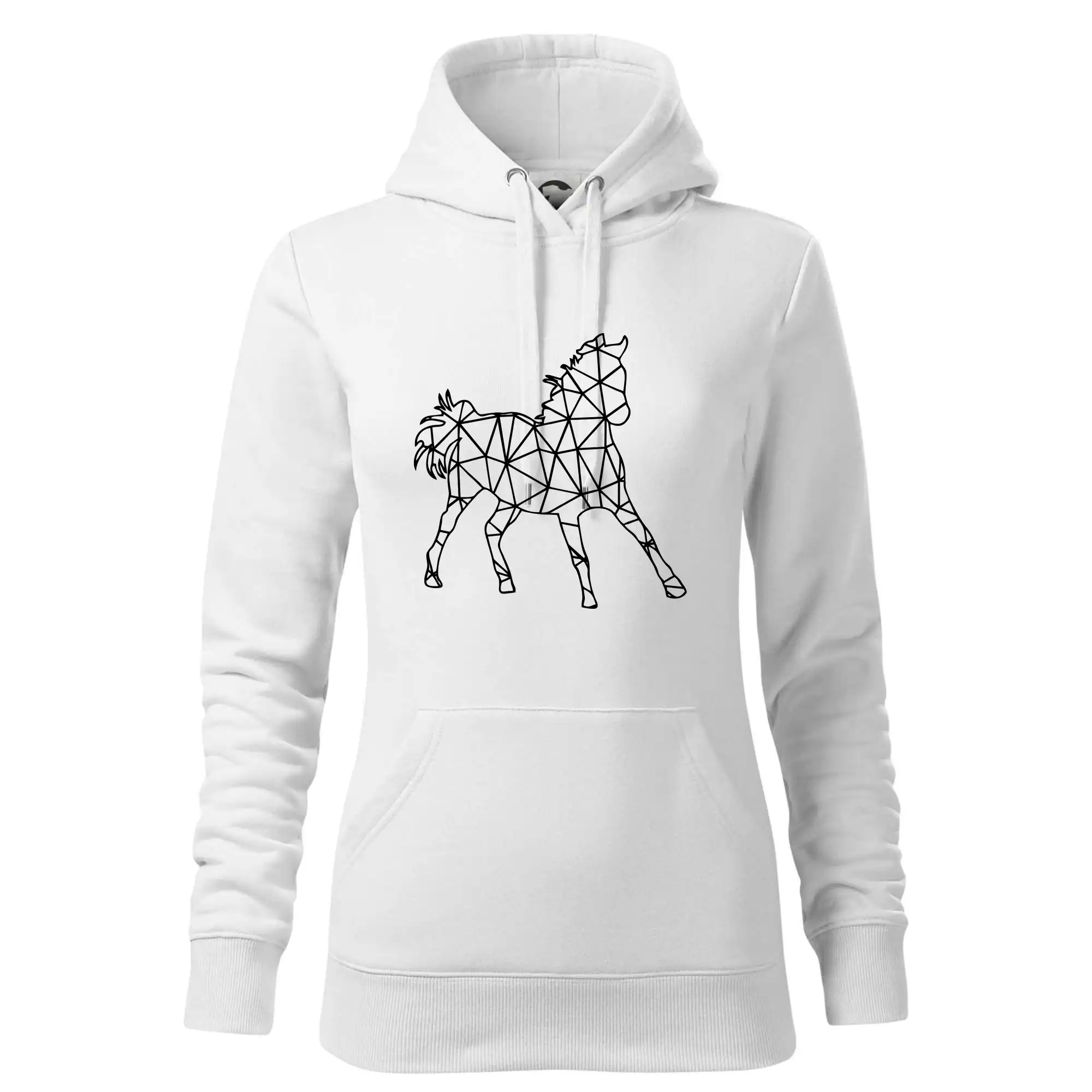 Geometrie - kůň jednobarevná