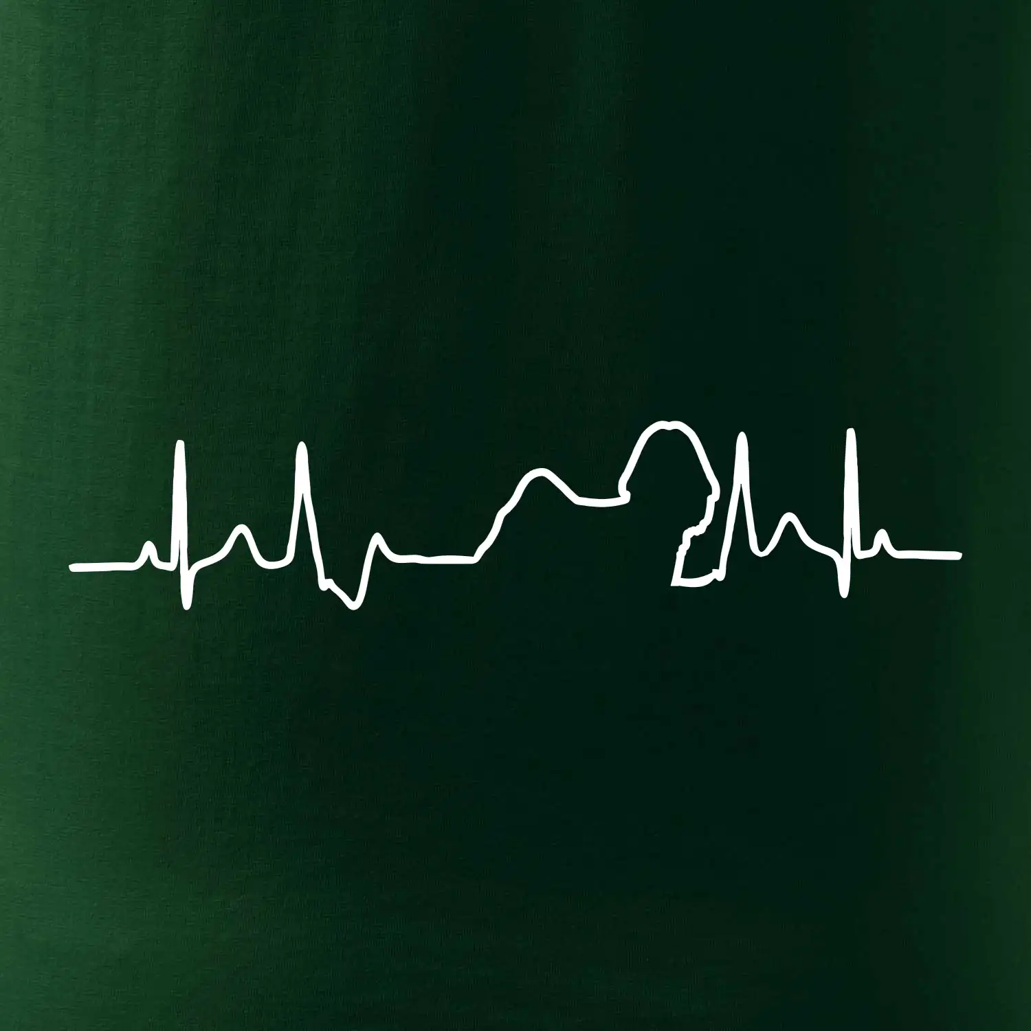 Shih-tzu ekg obrys