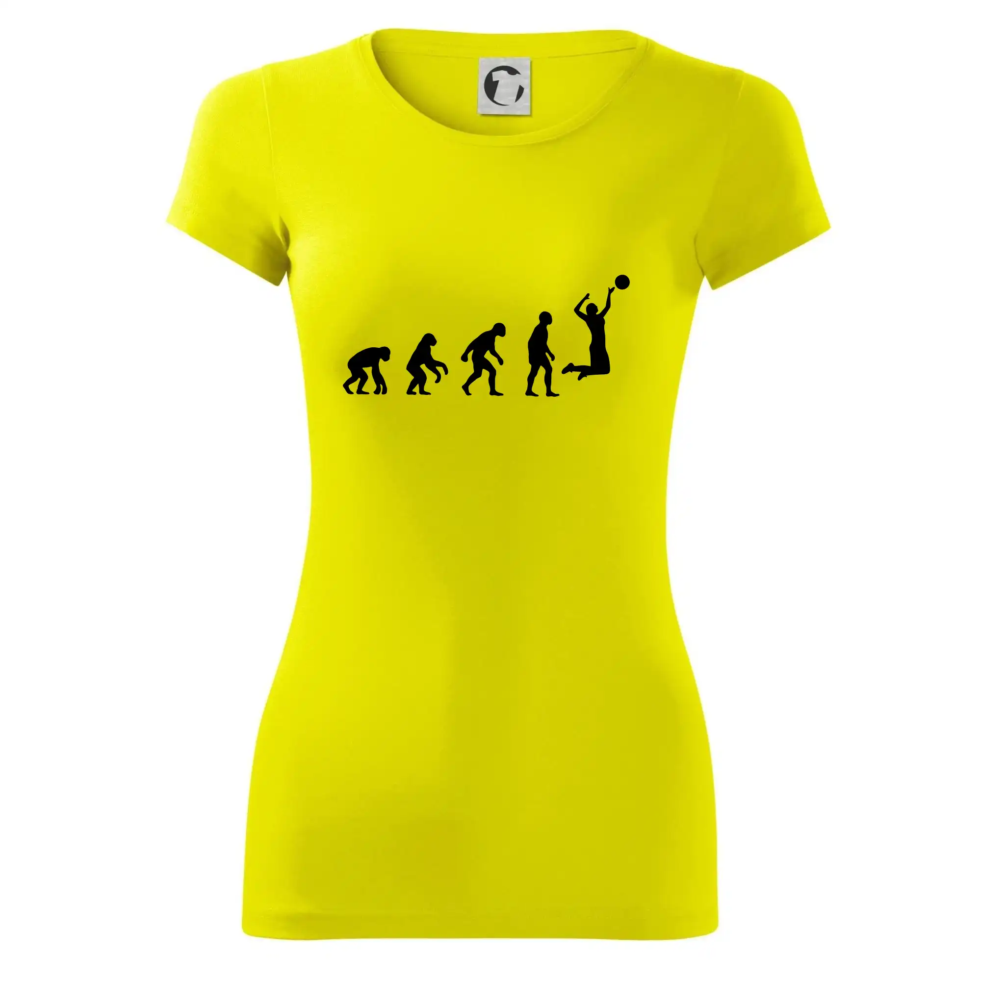 Evoluce volejbal žena