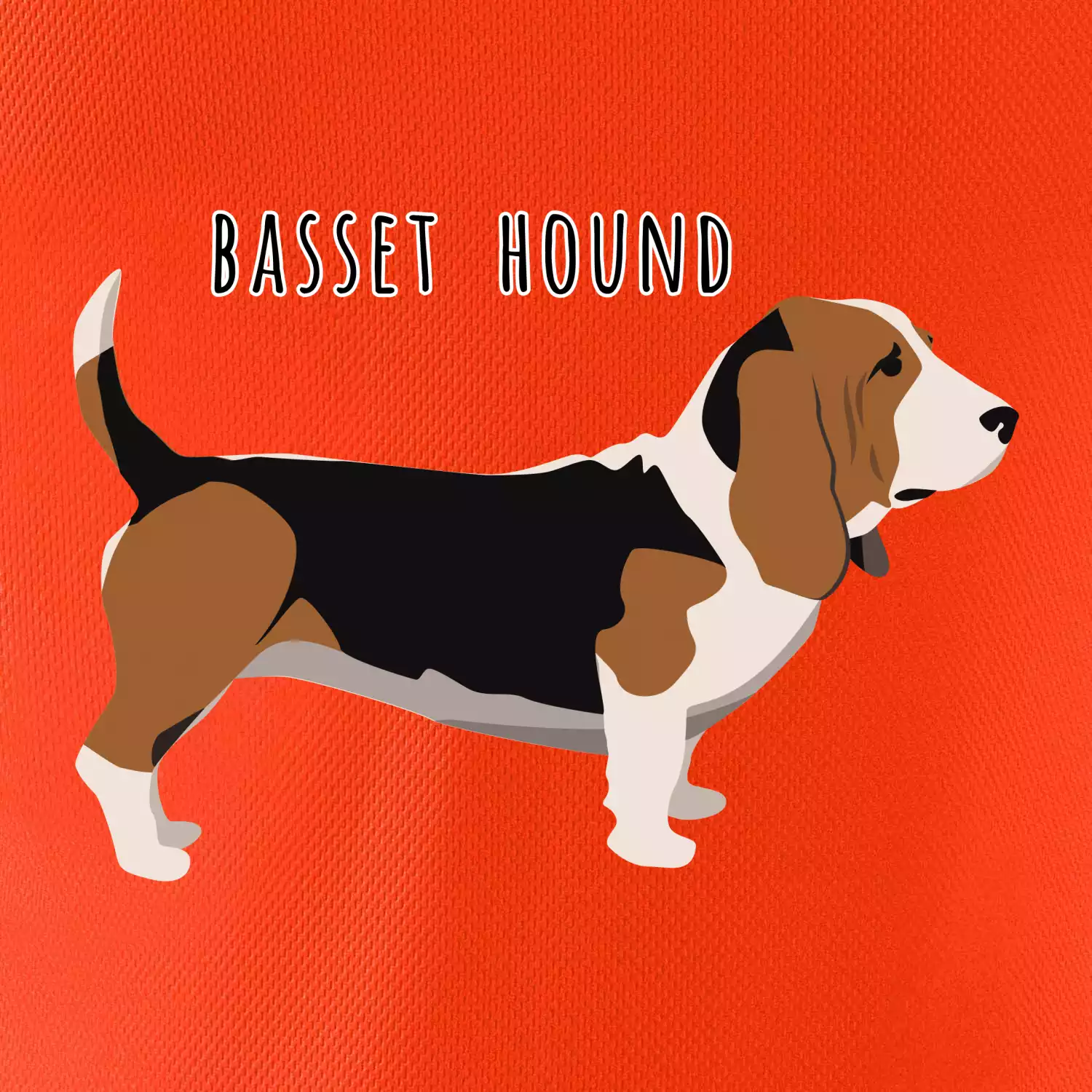 Basset hound pes s nápisem