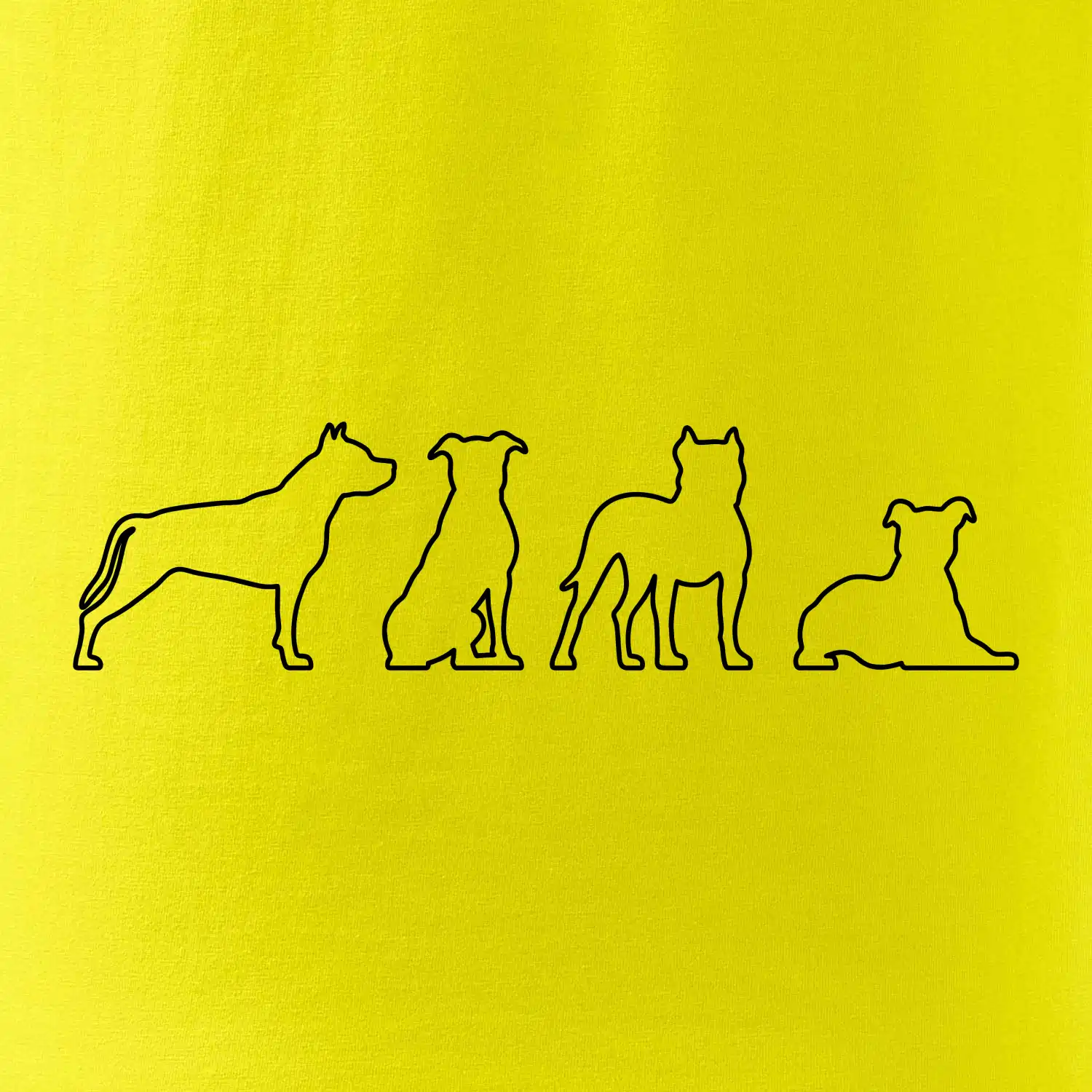 Americký stafordširský teriér v různých pozicích