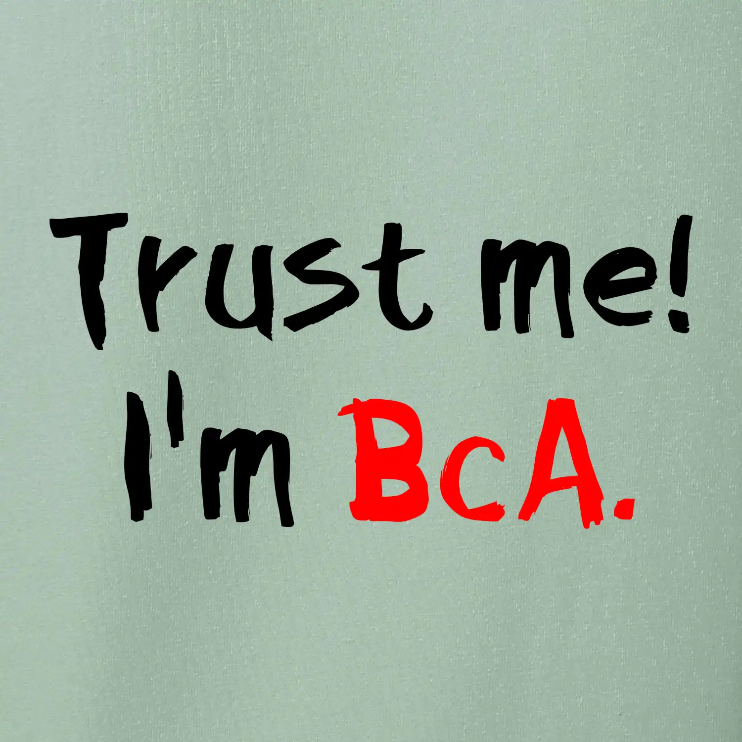 Trust me I´m  BcA. / Věř mi jsem BcA.