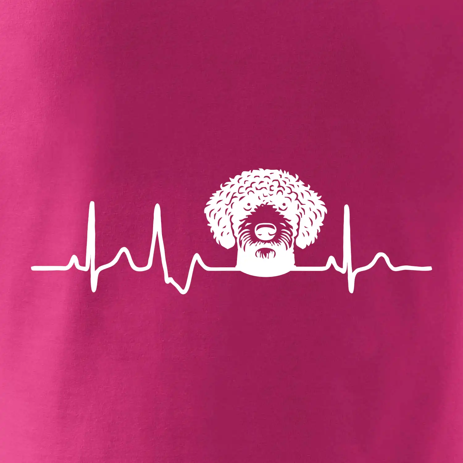 Lagotto romagnolo hlava EKG